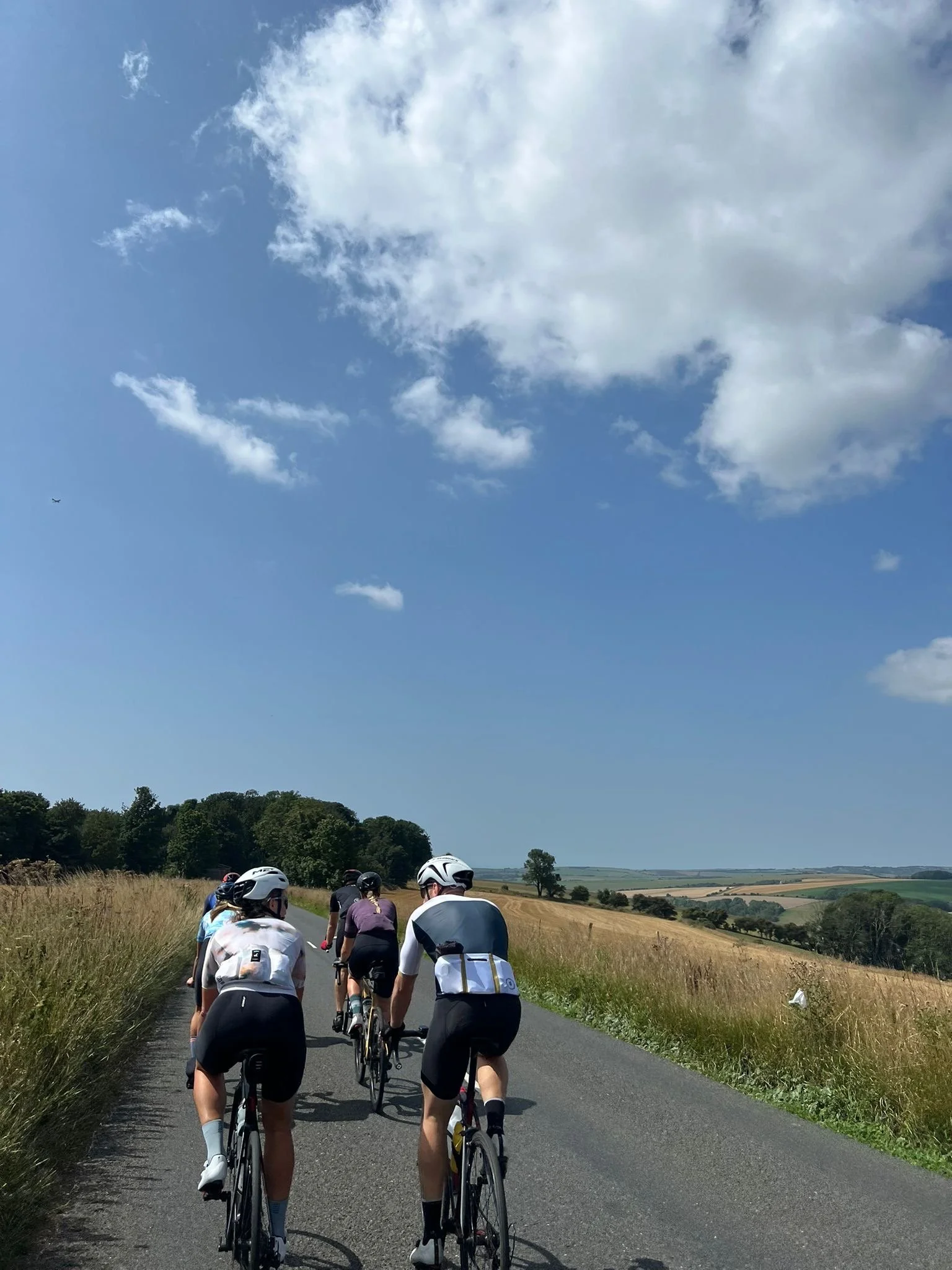 South Downs summer views