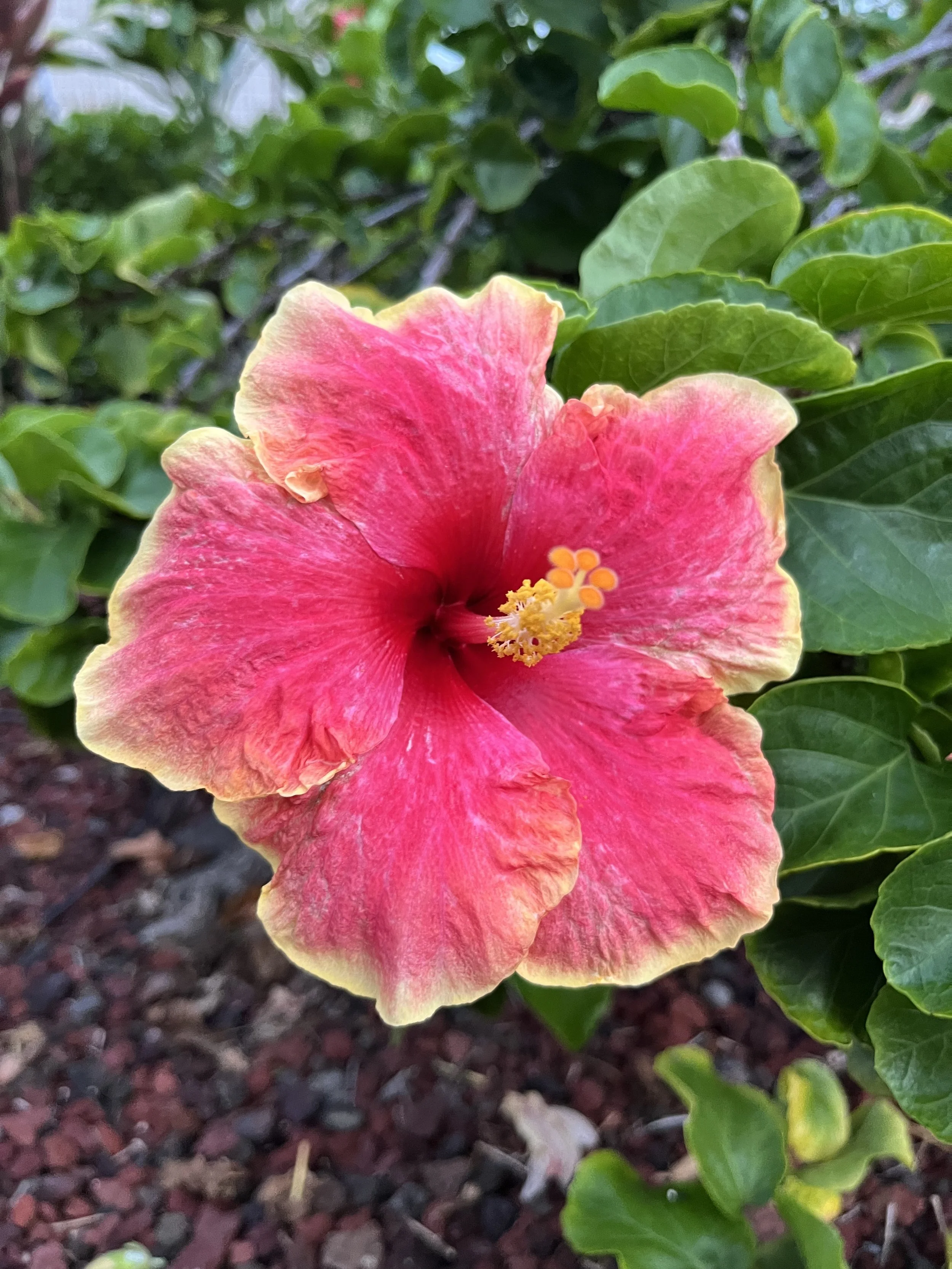 Everywhere, so beautiful