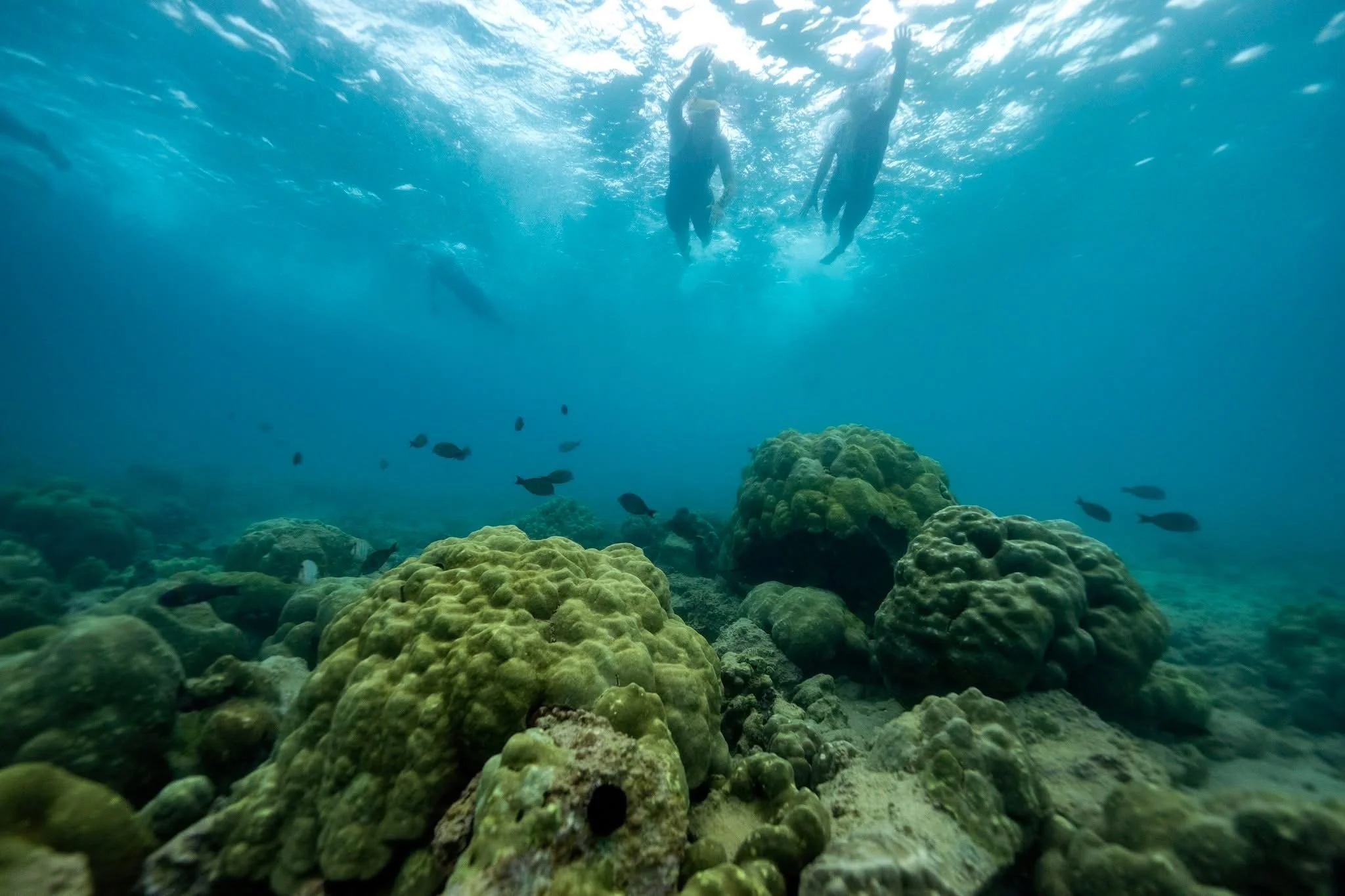 Gorgeous as it is brutal