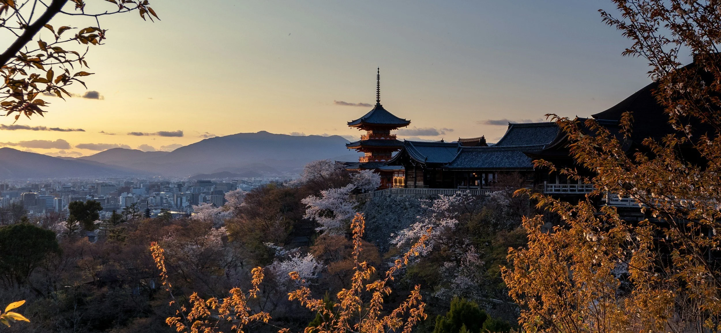 A Springtime Walk Through Kyoto's Higashiyama and Okazaki Area: Experience the Beauty of Art and Nature in Full Bloom