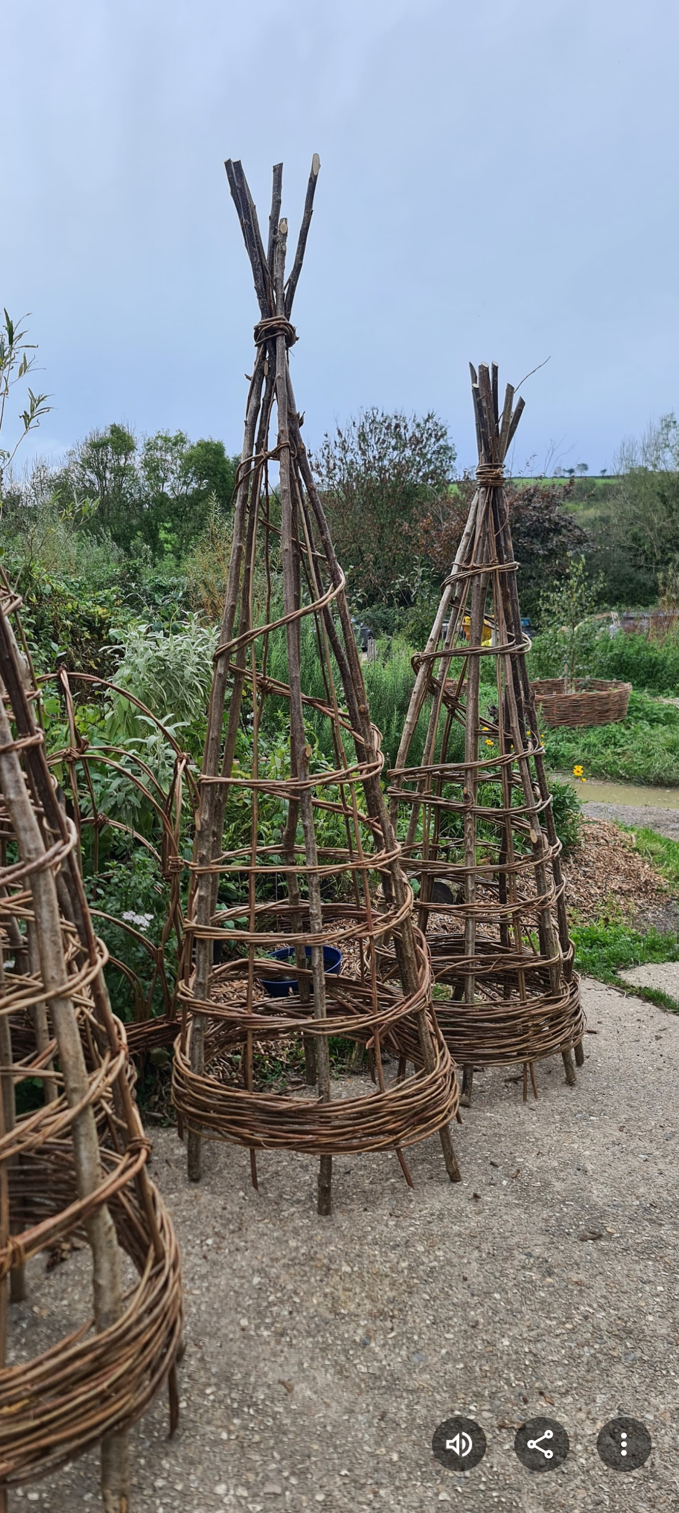 Three wire plant supports or trellises made from wooden sticks bound with twine, situated outdoors on a gravel surface near green bushes and trees.