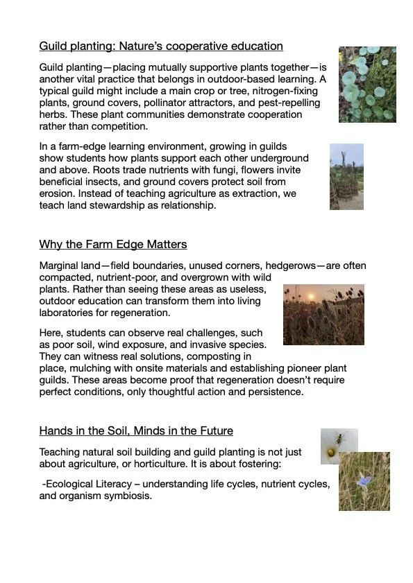 A printed document titled 'Guild planting: Nature's cooperative education,' with three images: one of small green plants, one of a sunset over a field, and one of a dandelion and a blooming plant.