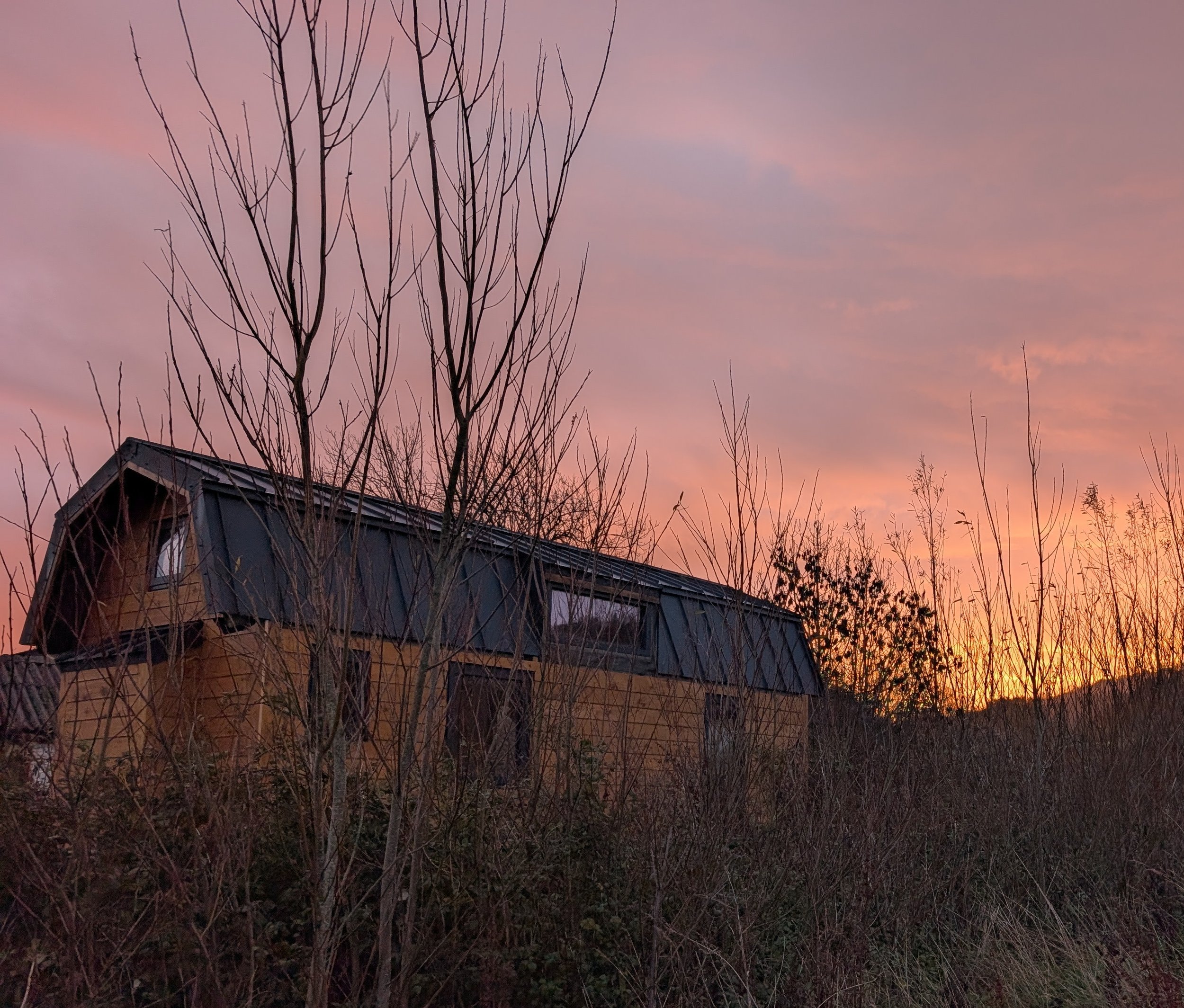 A rustic wooden house with a metal roof surrounded by leafless trees and bushes at sunset, with a colorful pink and orange sky.