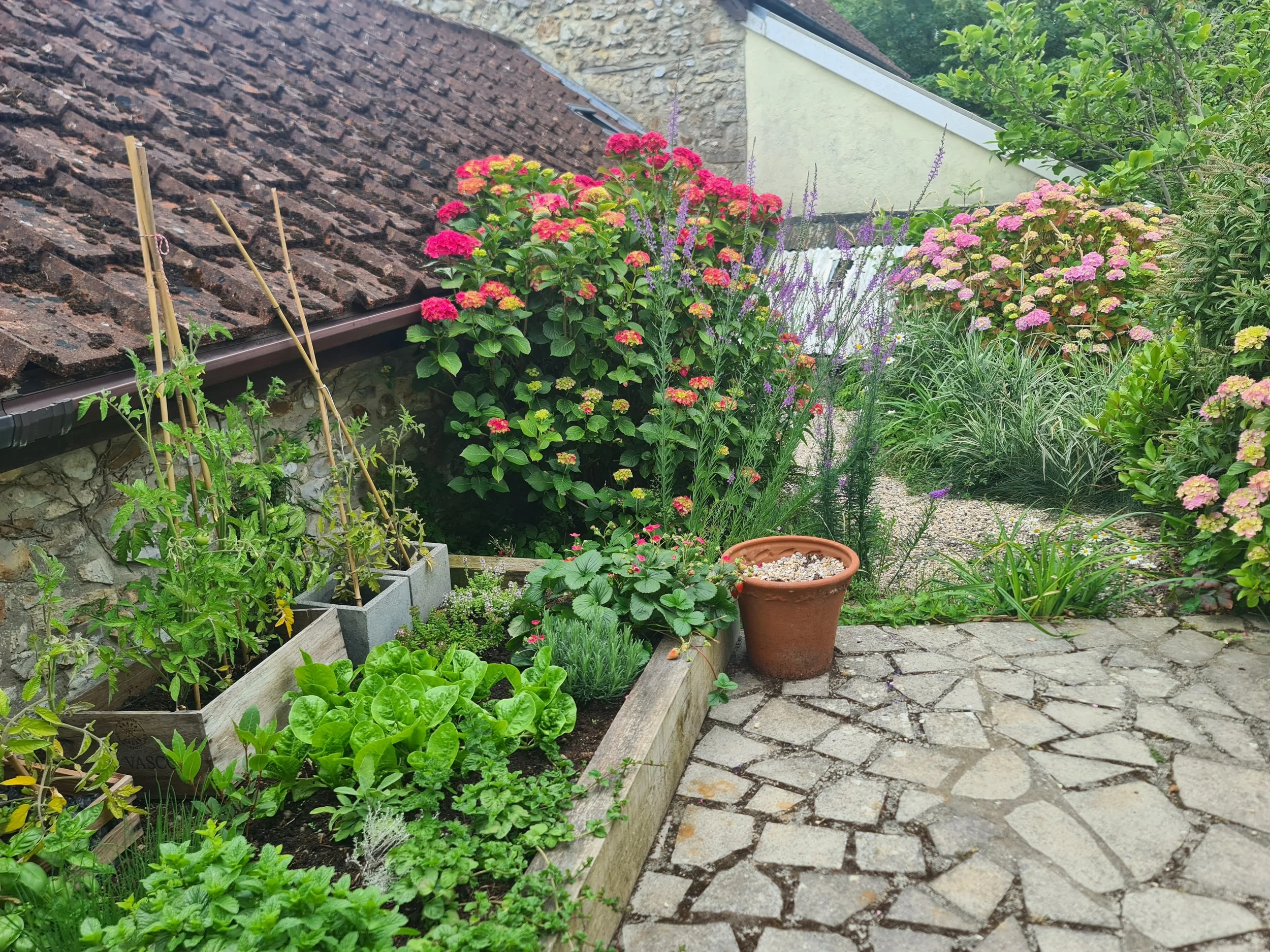Garden with flowering bushes, potted plants, and a stone pathway next to a house with a tiled roof.