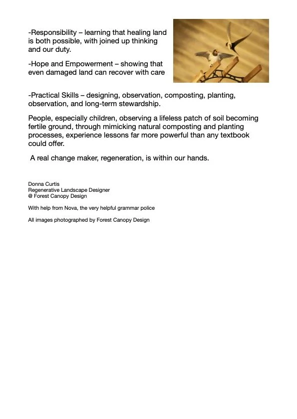 Photograph of a bird perched on a branch with a bright orange background.