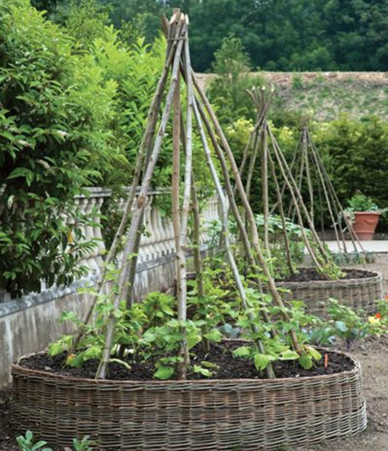 willow raised beds website image.png