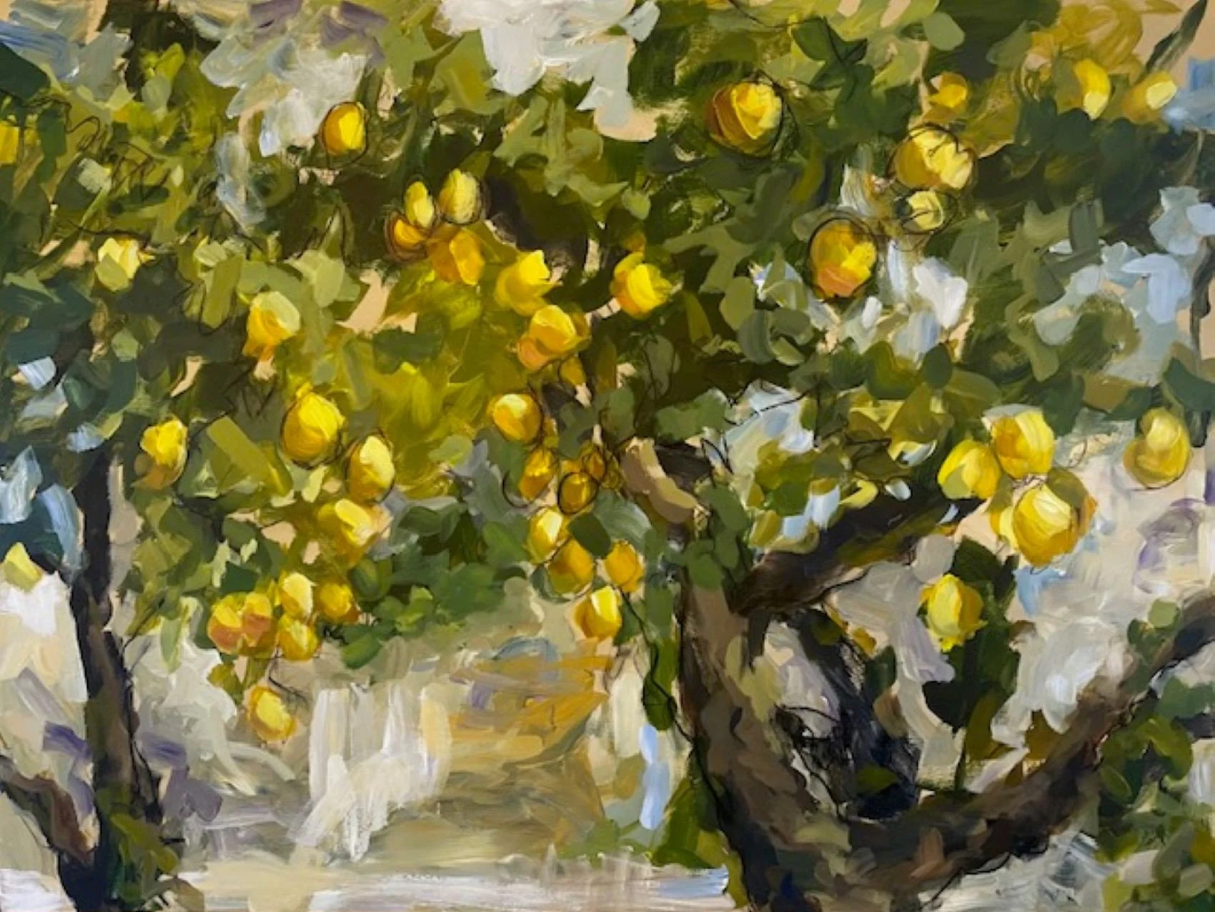 TheLandWhereLemonsGrow-2-AcrylicOnBoard-80x60cm.jpg
