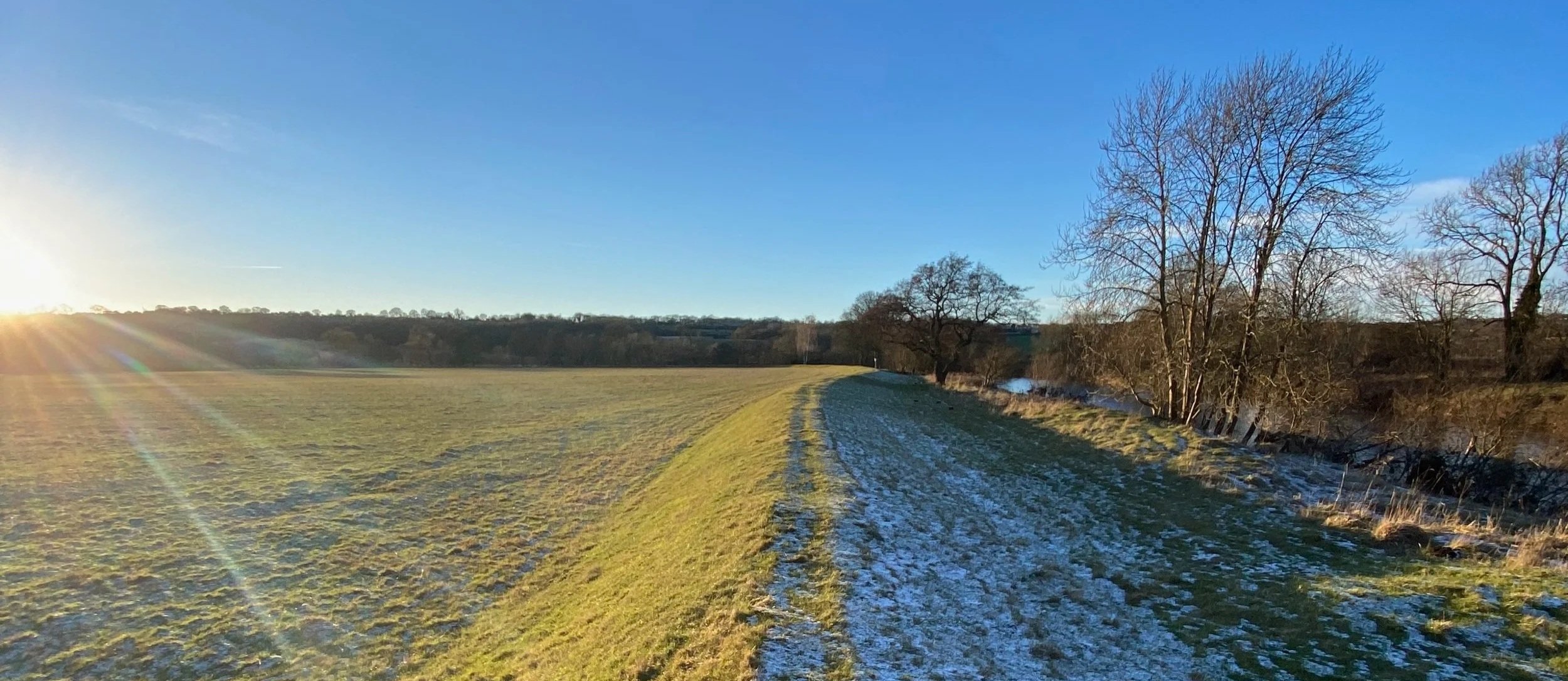 A grassy field divided by a narrow path, with frost on one side and low winter sunlight on the horizon.