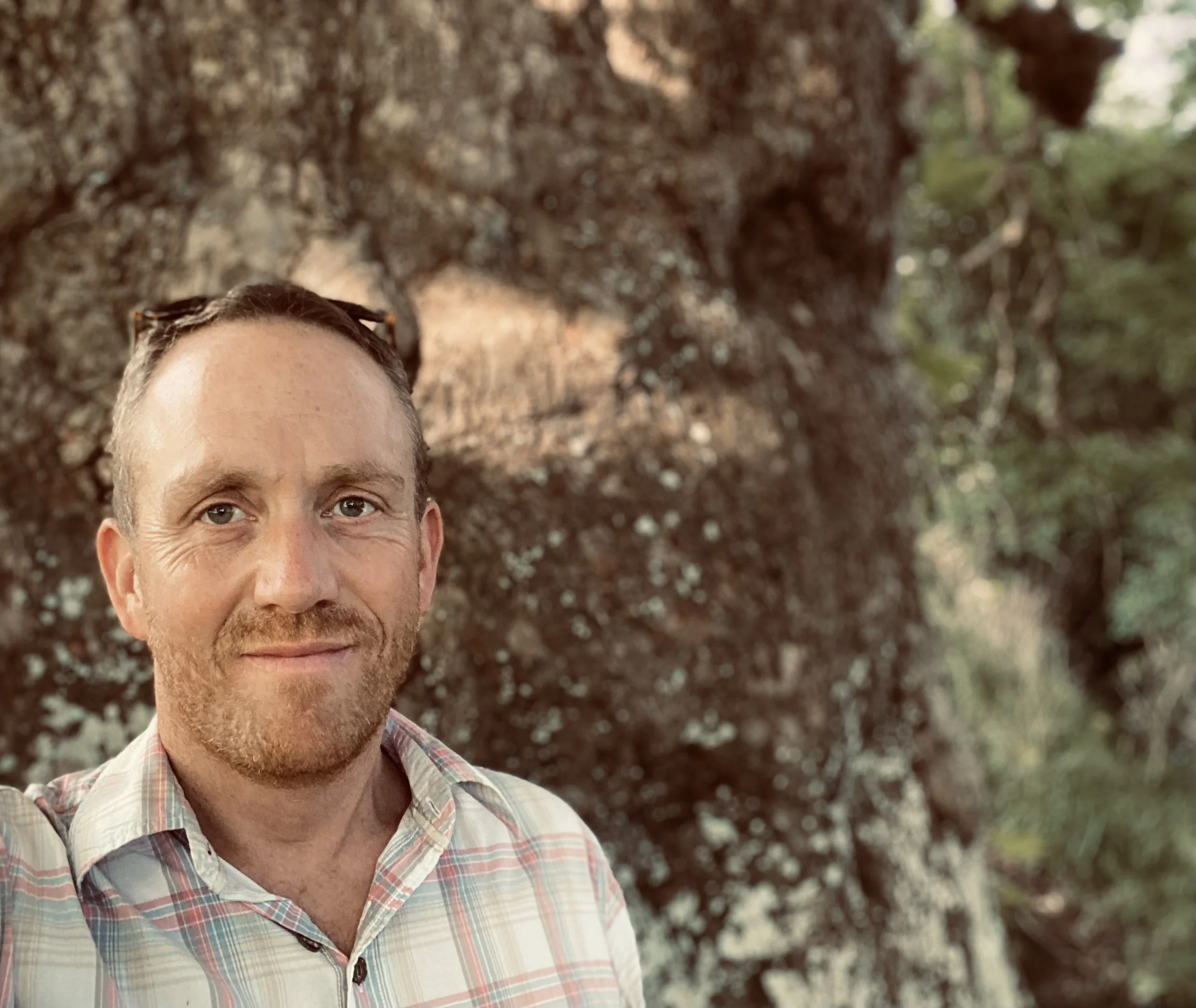 Portrait of Jon Breton (O'Donoghue), founder of Eagle & Oak, standing outdoors beside an old tree