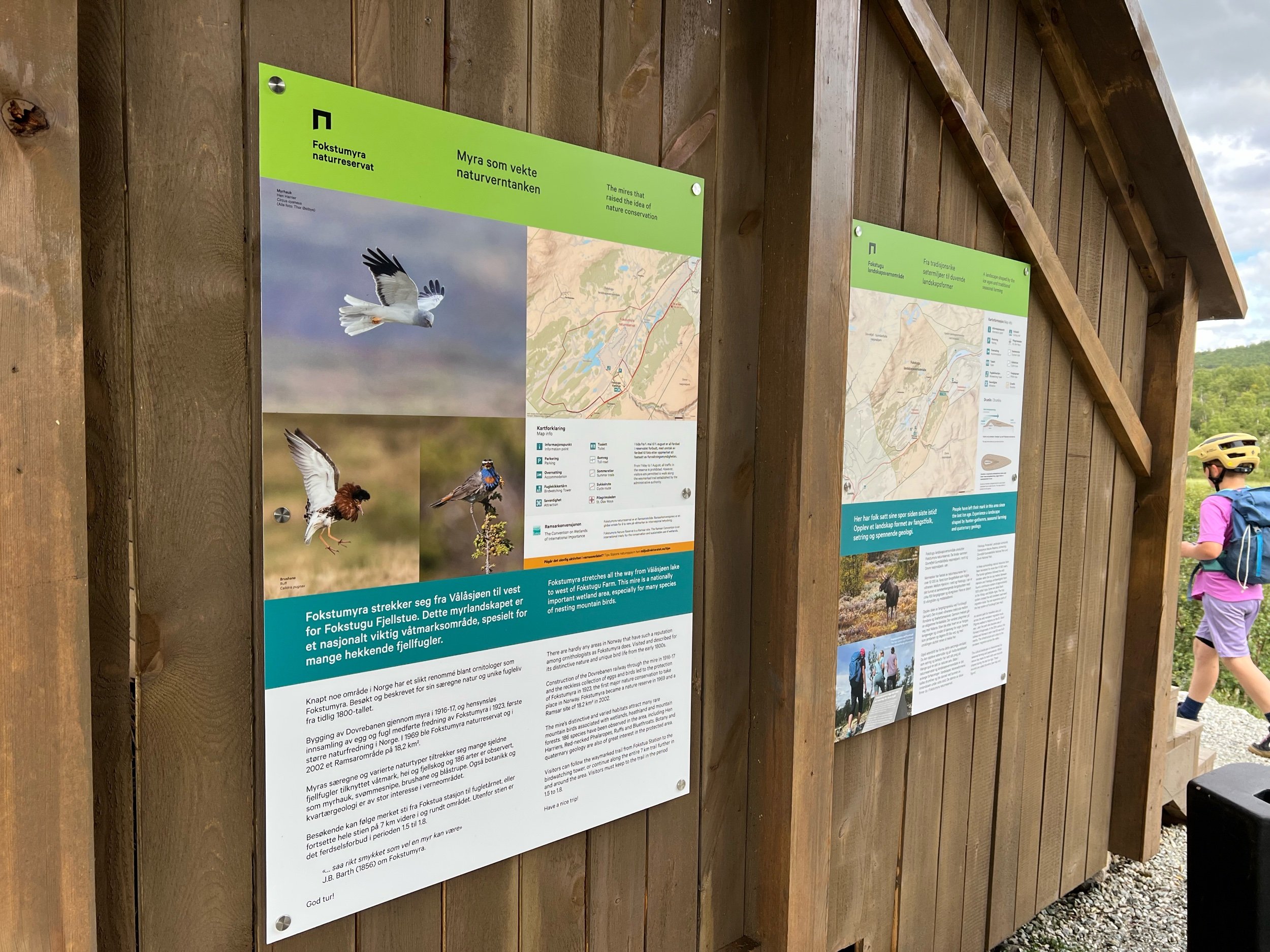  Plakat for Fokstumyra naturreservat og Fokstugu landskapsvernområde, på Rullestein 