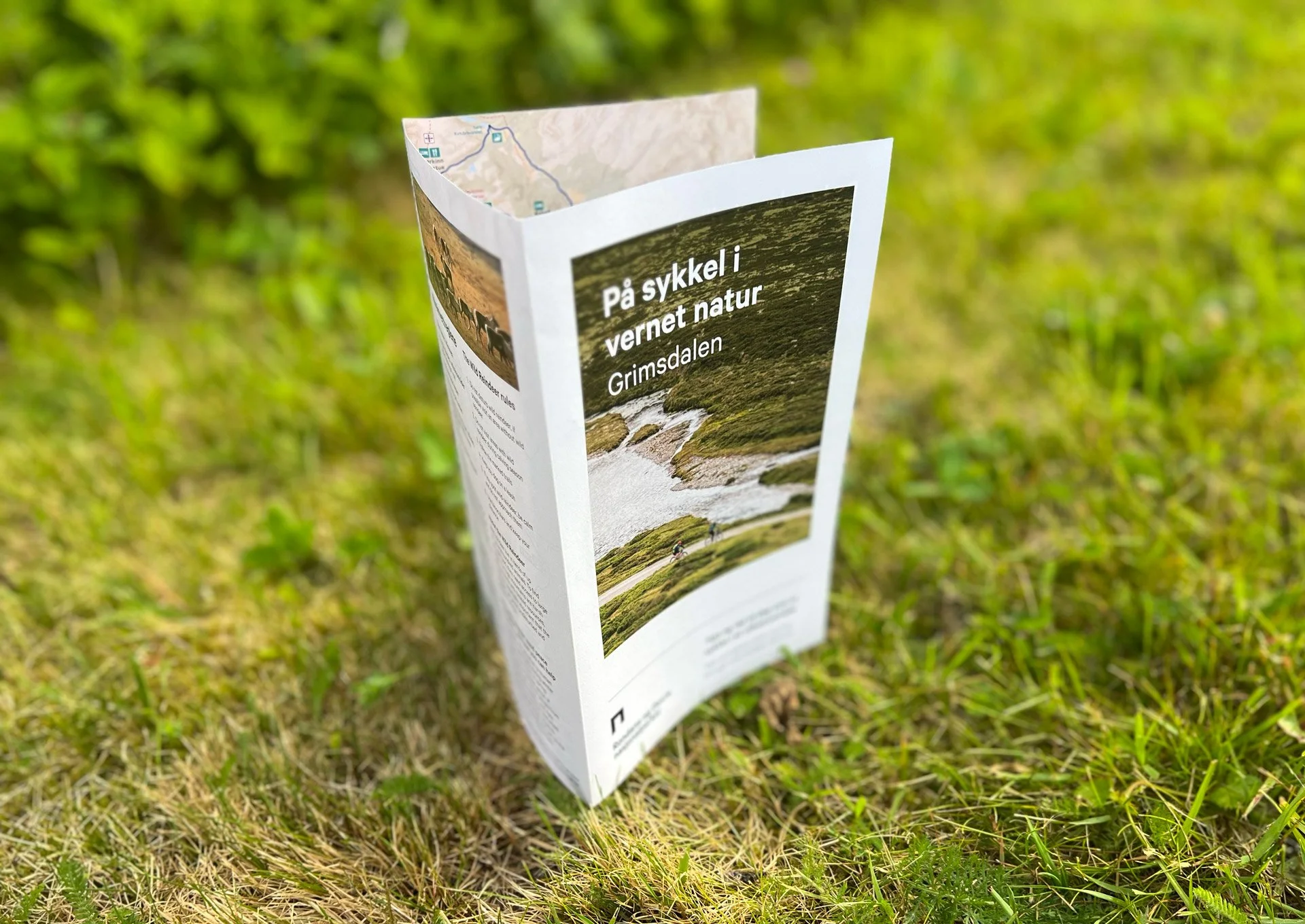 På sykkel i vernet natur