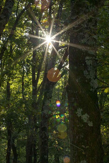 photographe-spirituel.jpg