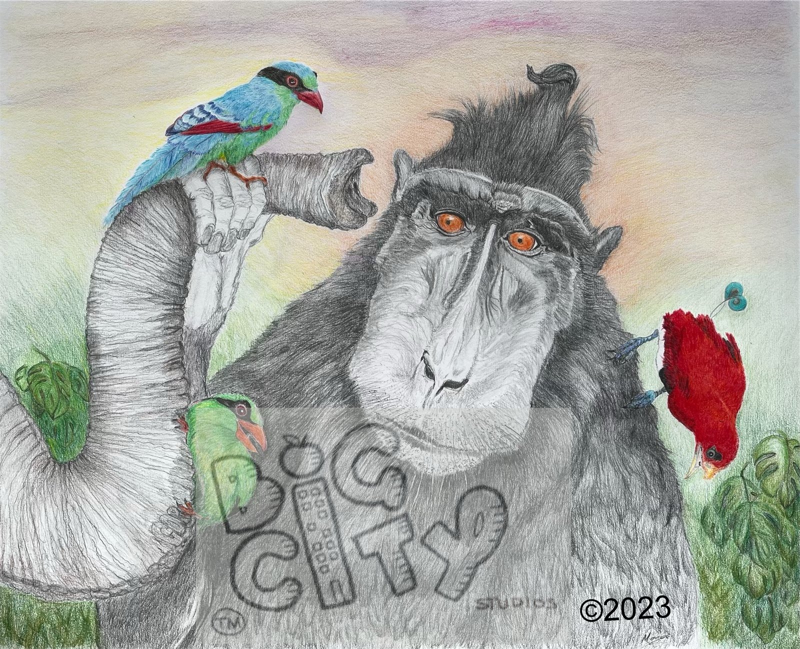black macaque watermark 2023.jpeg