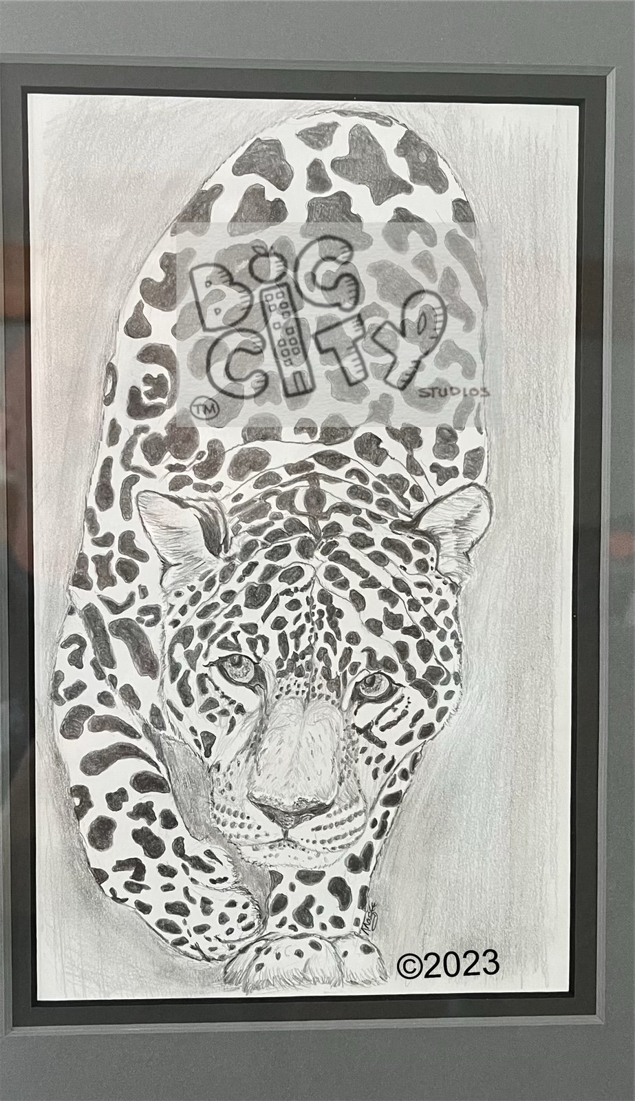 jaguar watermark 2023.jpeg