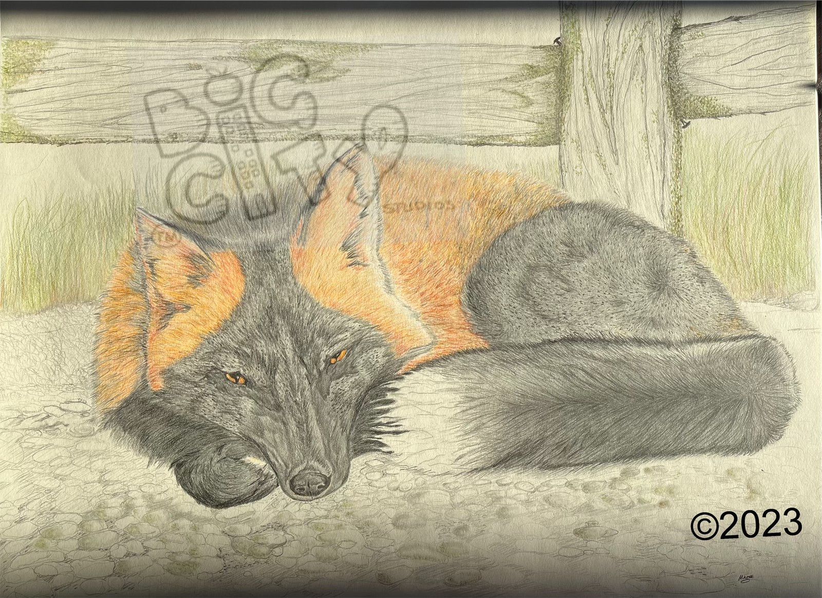 redfox watermark 2023.jpeg