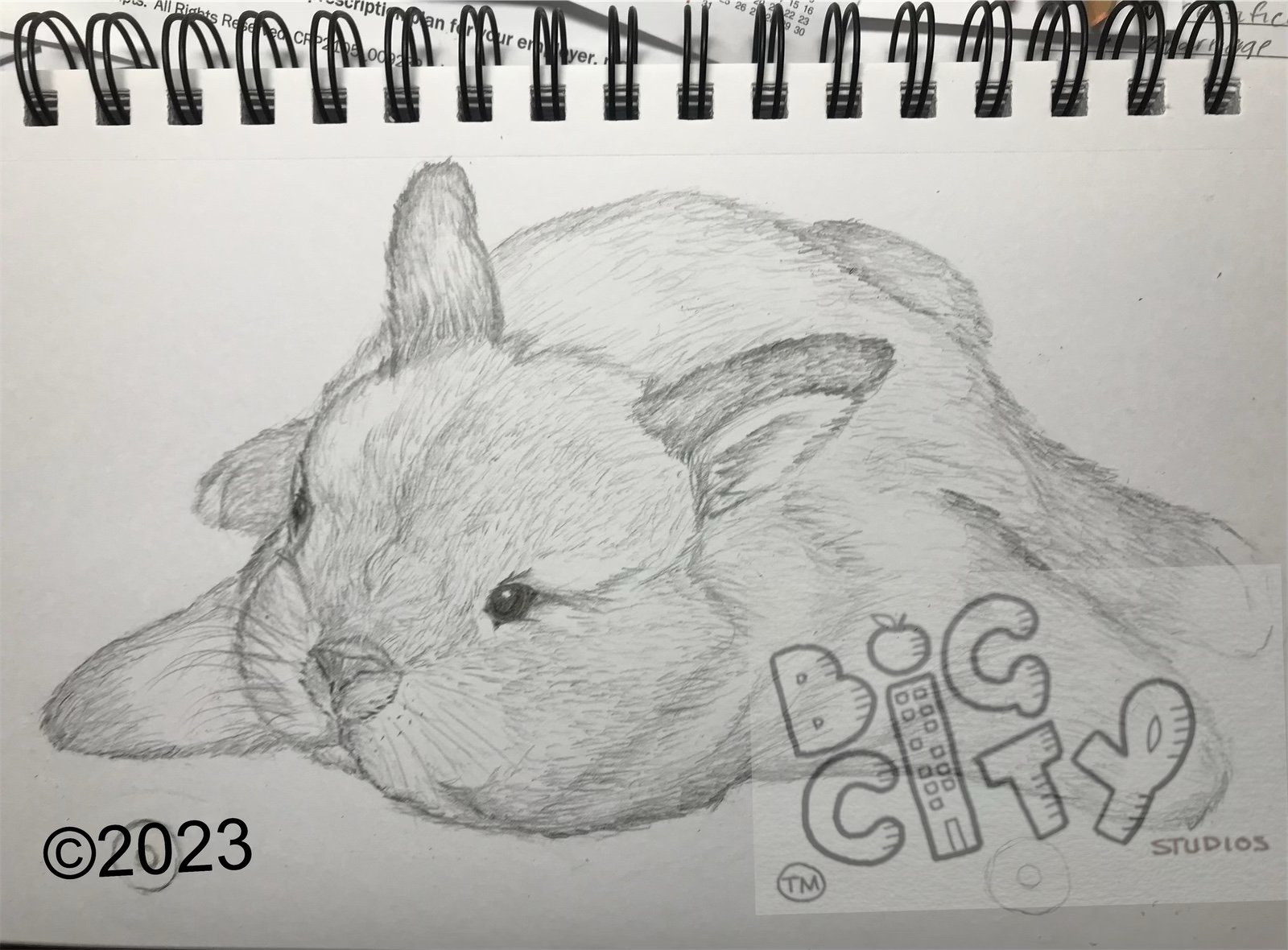 lazy baby bunny. cute. grey tones, Limited Edition of 500 and signed