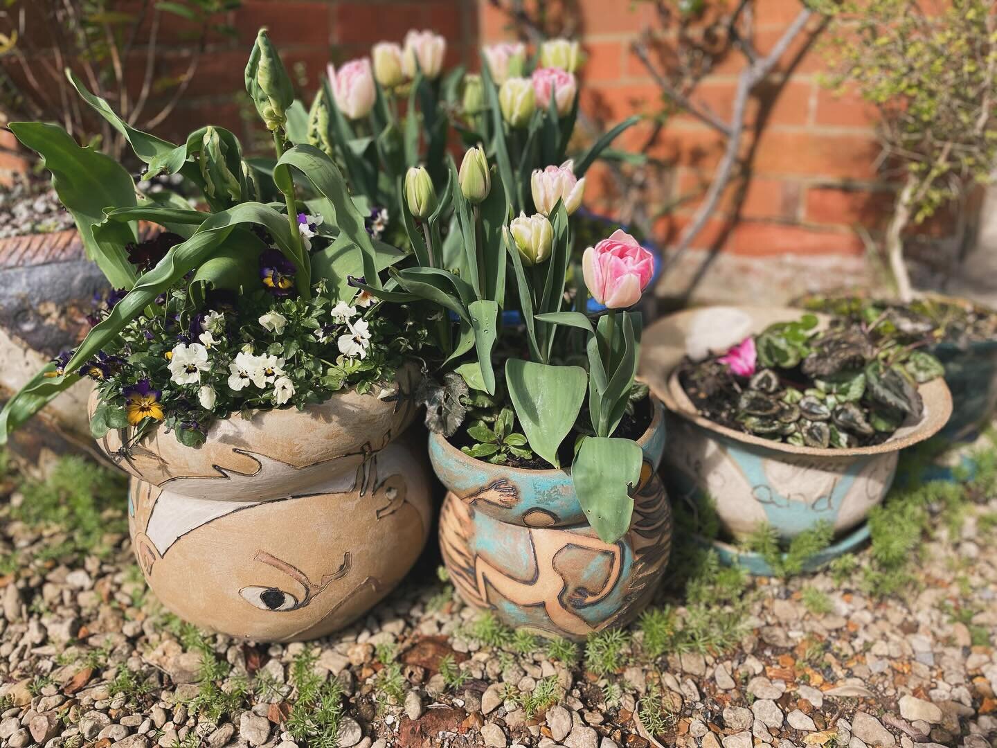 Frost Proof! My planters have drainage holes and water trays if you want them. They have been fired to stoneware and are therefore frost proof. @celebratingceramics @salisburyartsscene @fisherton.mill @messumswest  #gardendesign #gardenplanters @sali
