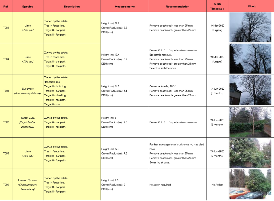 Tree report detail.png