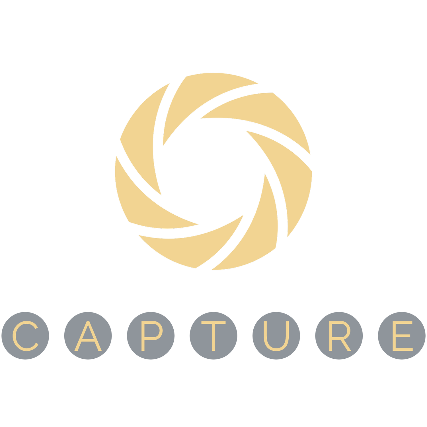 Capture (C.I) Limited