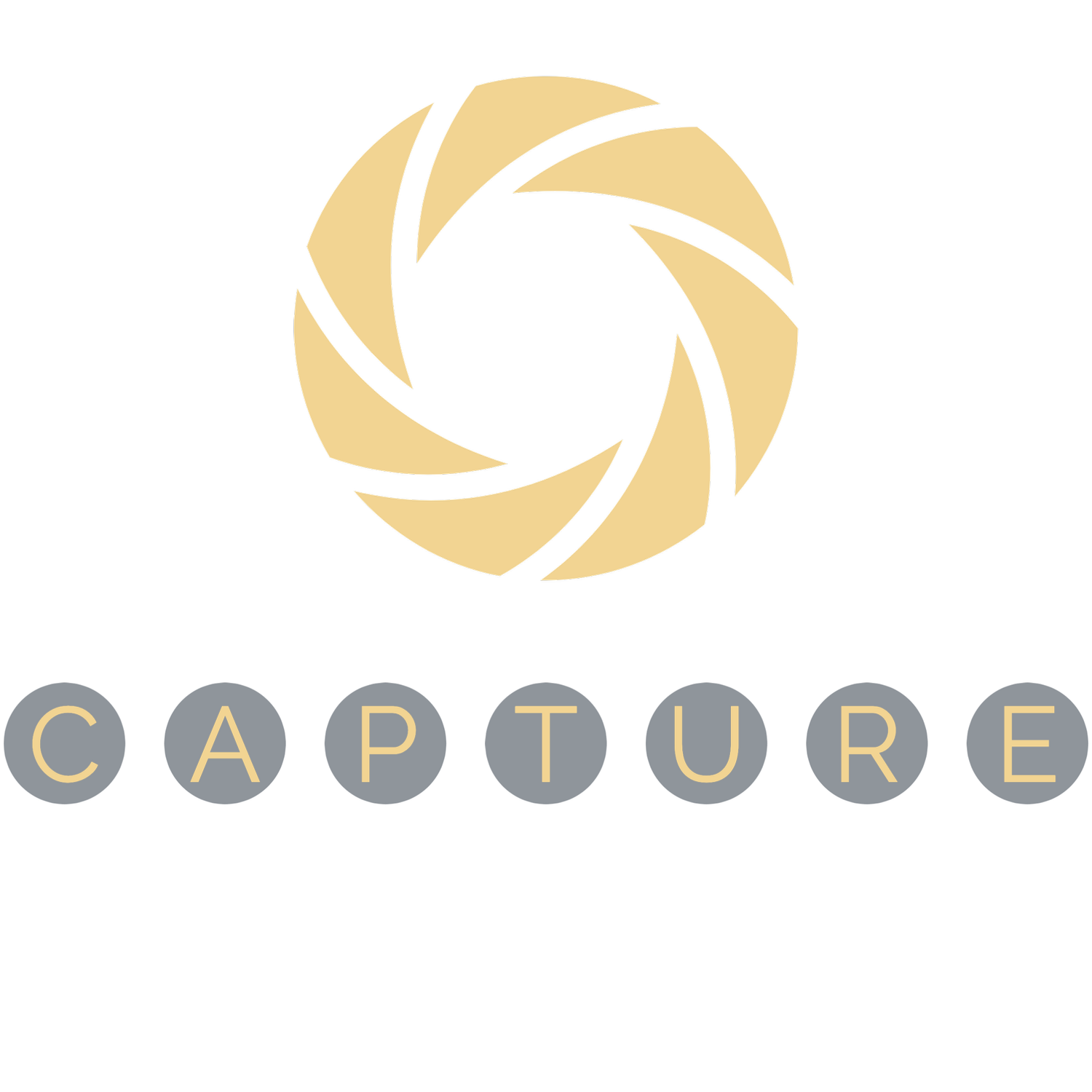 Capture (C.I) Limited