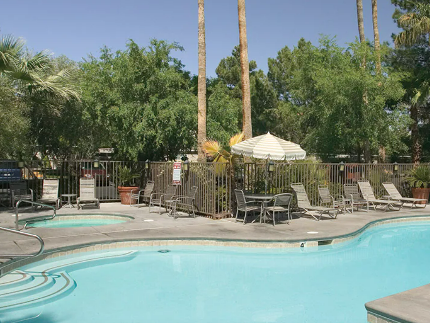 Empty swimming pool with lounge chairs and umbrellas, surrounded by greenery and tall trees.