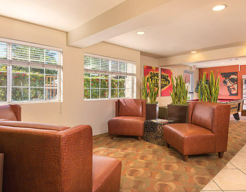 Lobby or waiting area with brown armchairs, large green plants in black planters, and colorful artwork on the walls, including a portrait and two posters, in a well-lit space with windows and patterned carpet.