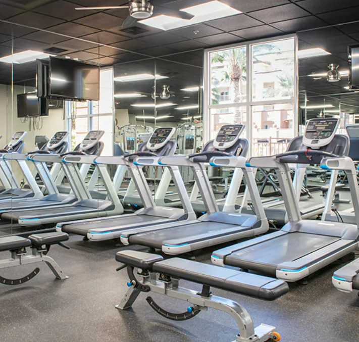 Row of modern treadmills in a gym with mirrors and large windows showing palm trees outside.