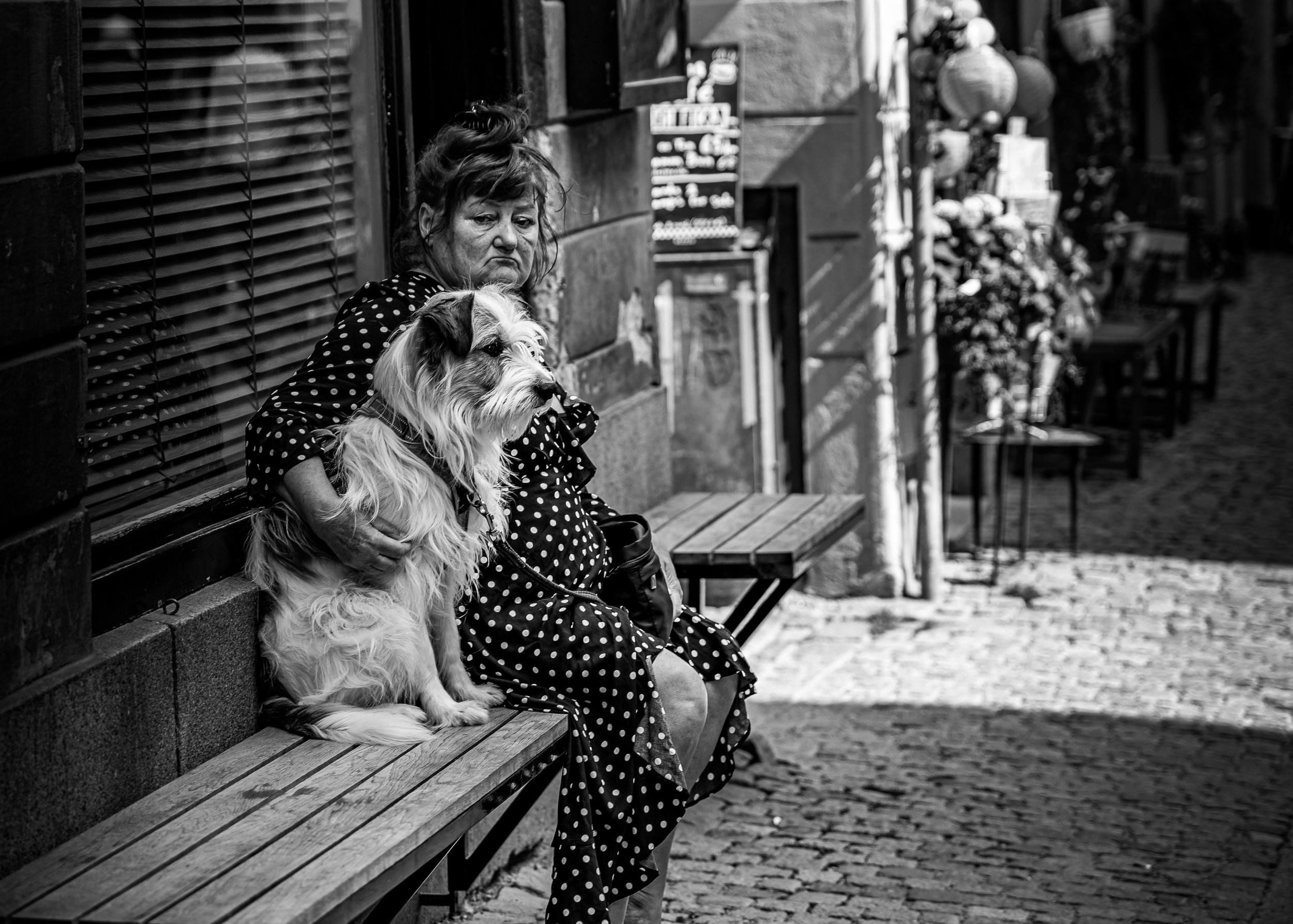 mans best friend.jpg