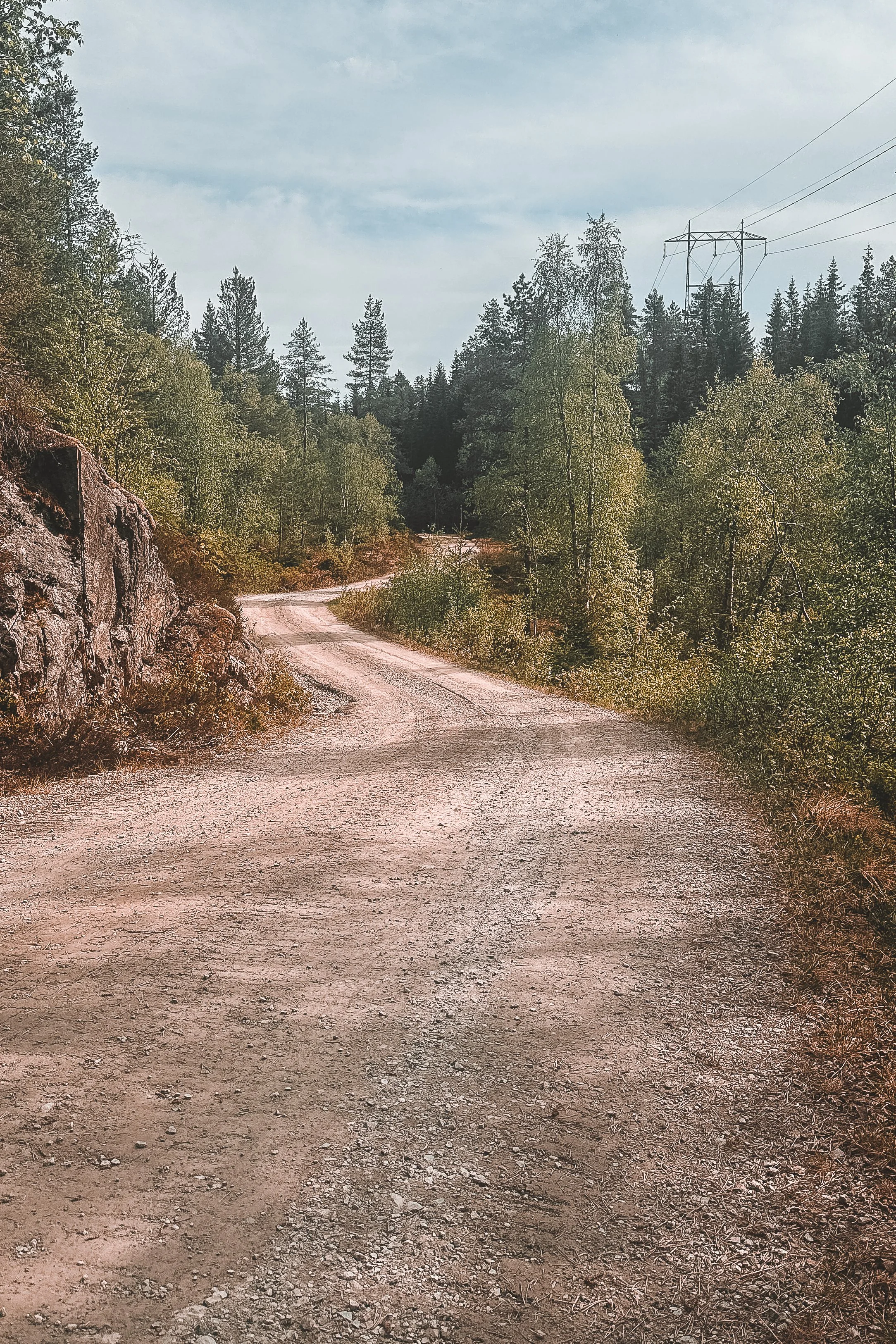Camp road.jpg