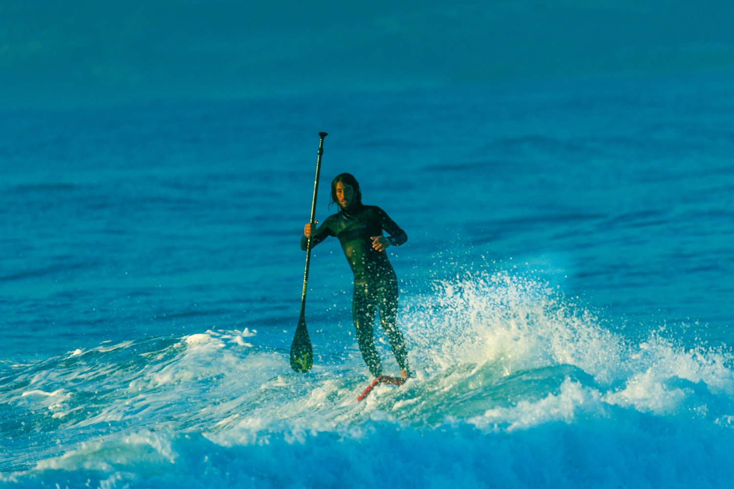 Surfs up