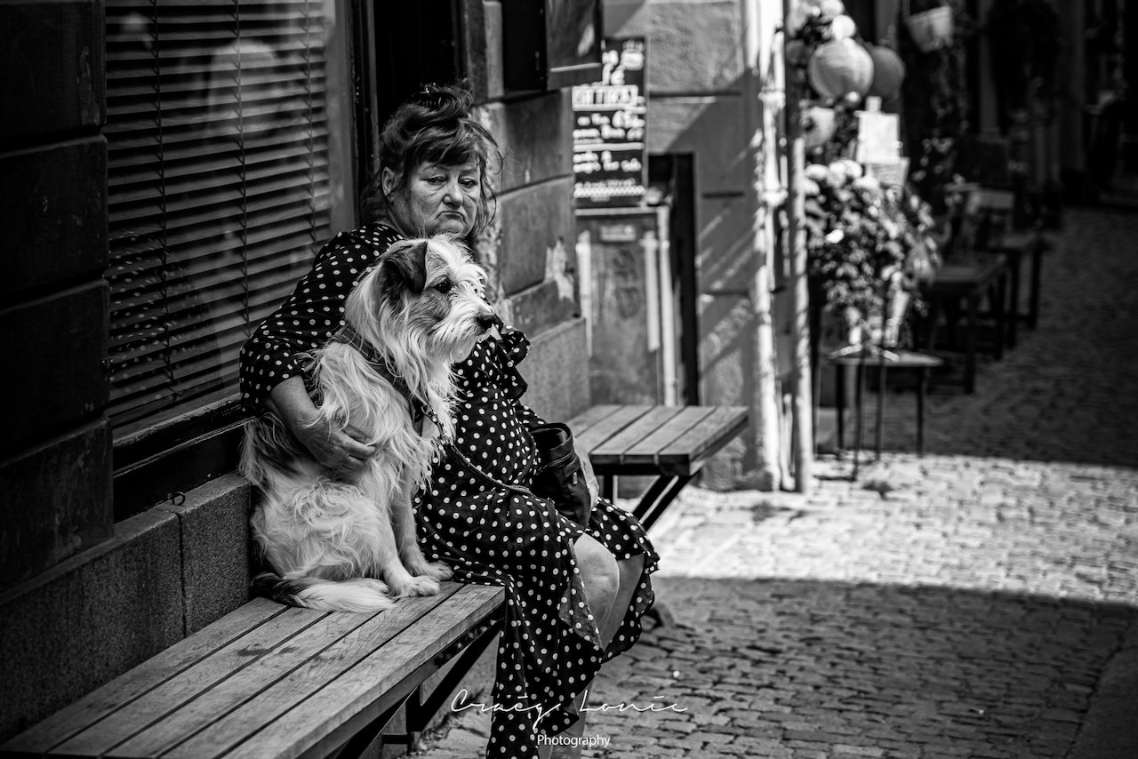 Lady and best friend