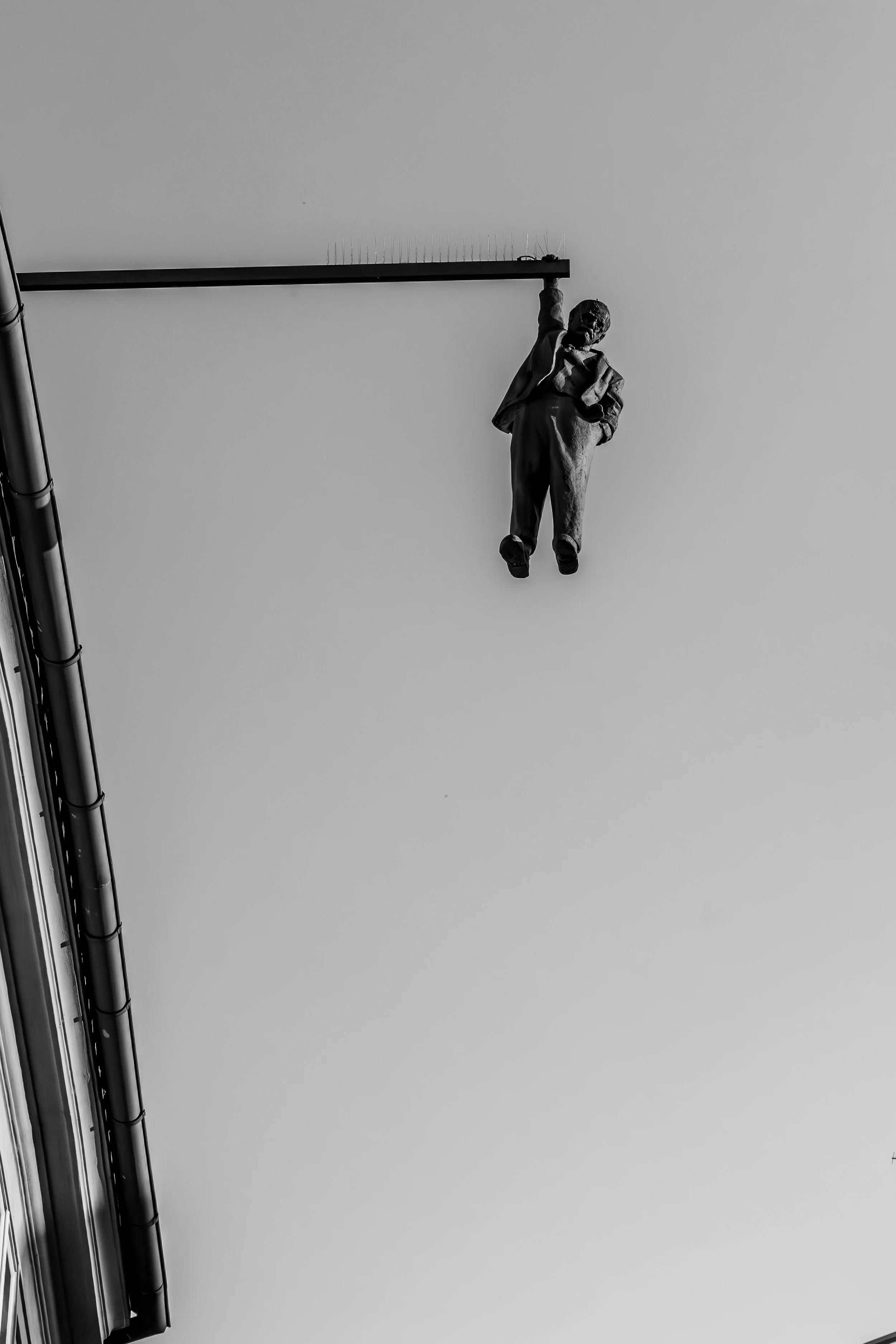 CLR61144-Enhanced-NR.jpg