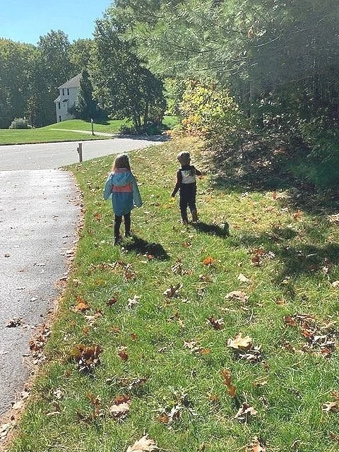 Pamela Jenkins - WO 4.jpg