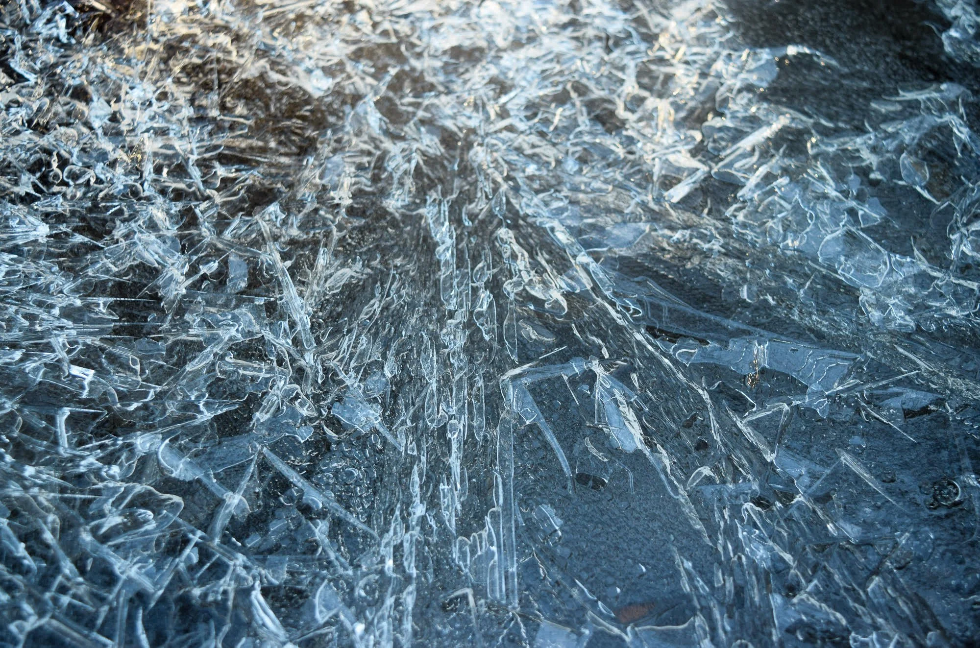 Image ©️Debra Achen