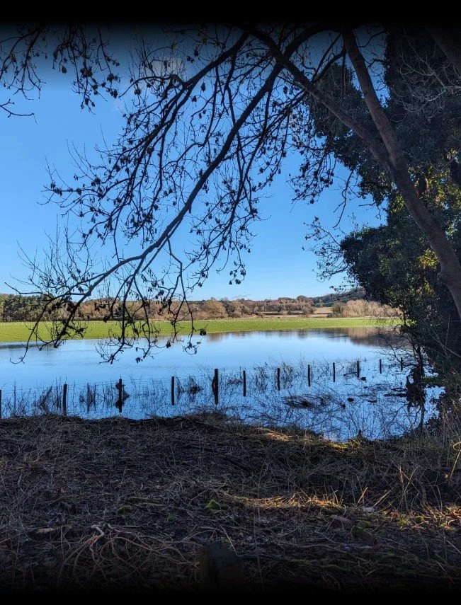 Saturday Early Risers Wellness Walk: Houghall Discovery Trail.