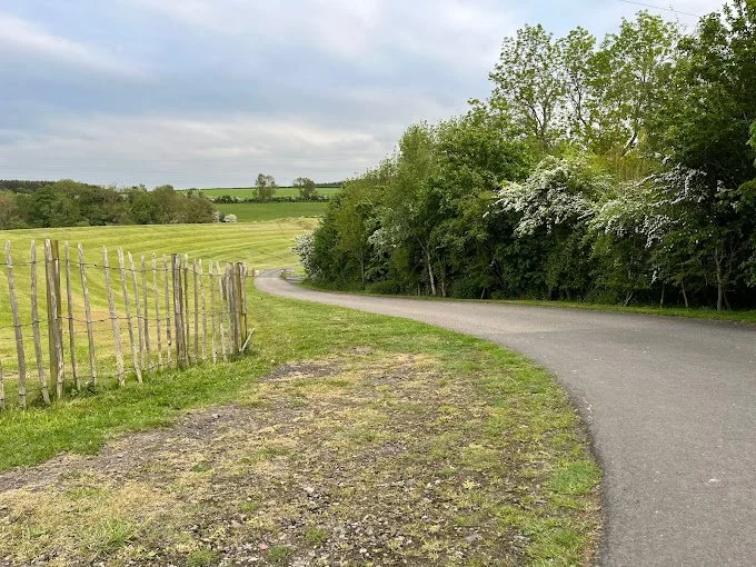 Saturday Early Risers Wellness Walk at Herrington Country Park, Houghton le Spring, DH4 7EL.