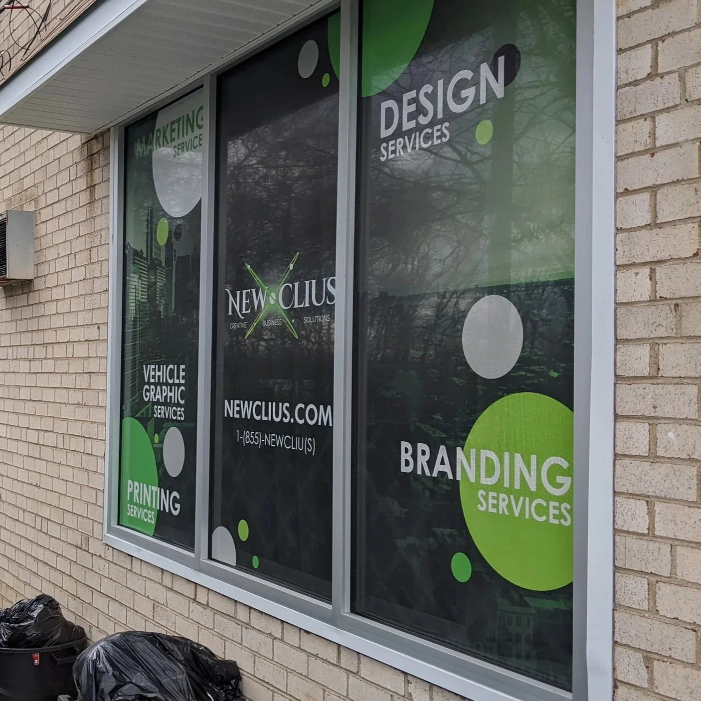 Newclius (Branding Identity & Campaign)