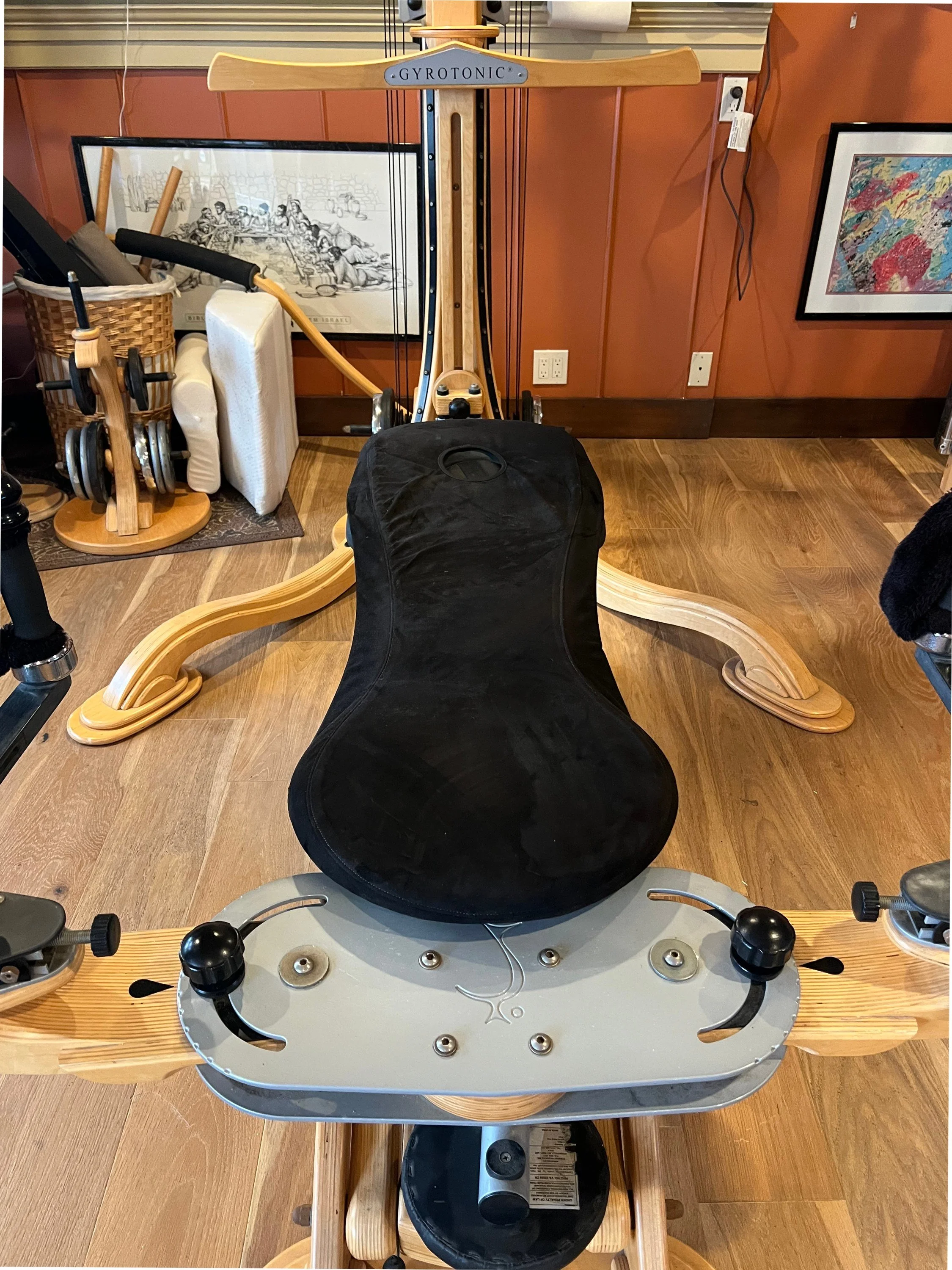 used Gyrotonic Pulley Tower for sale in Los Angeles area