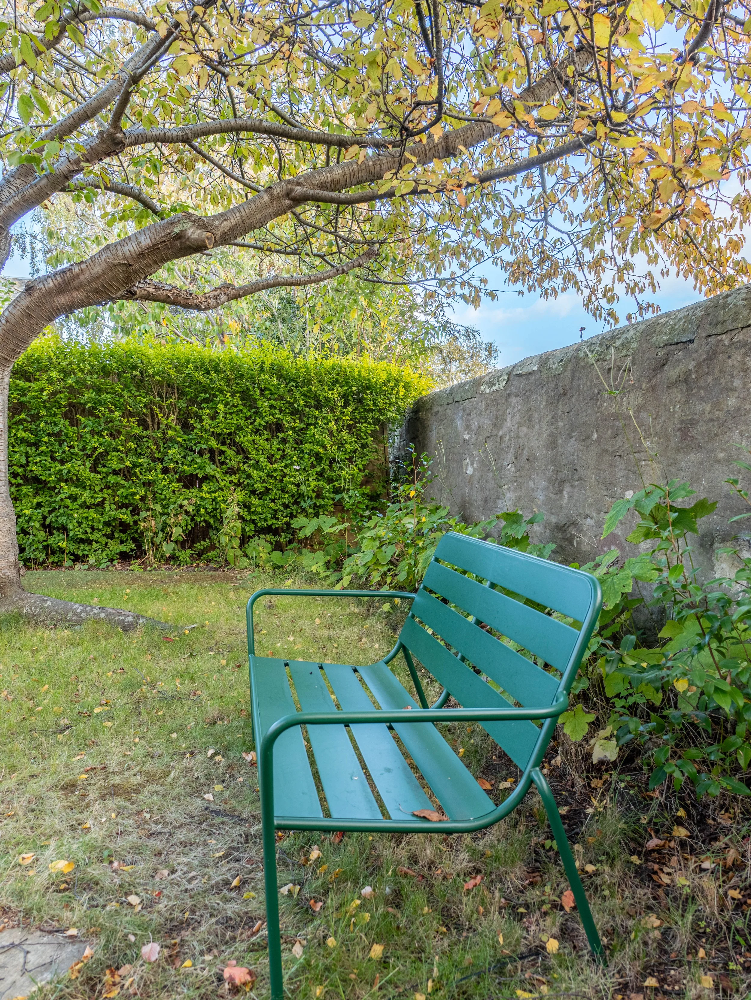 the life academy wellbeing centre september 2025-94.jpg