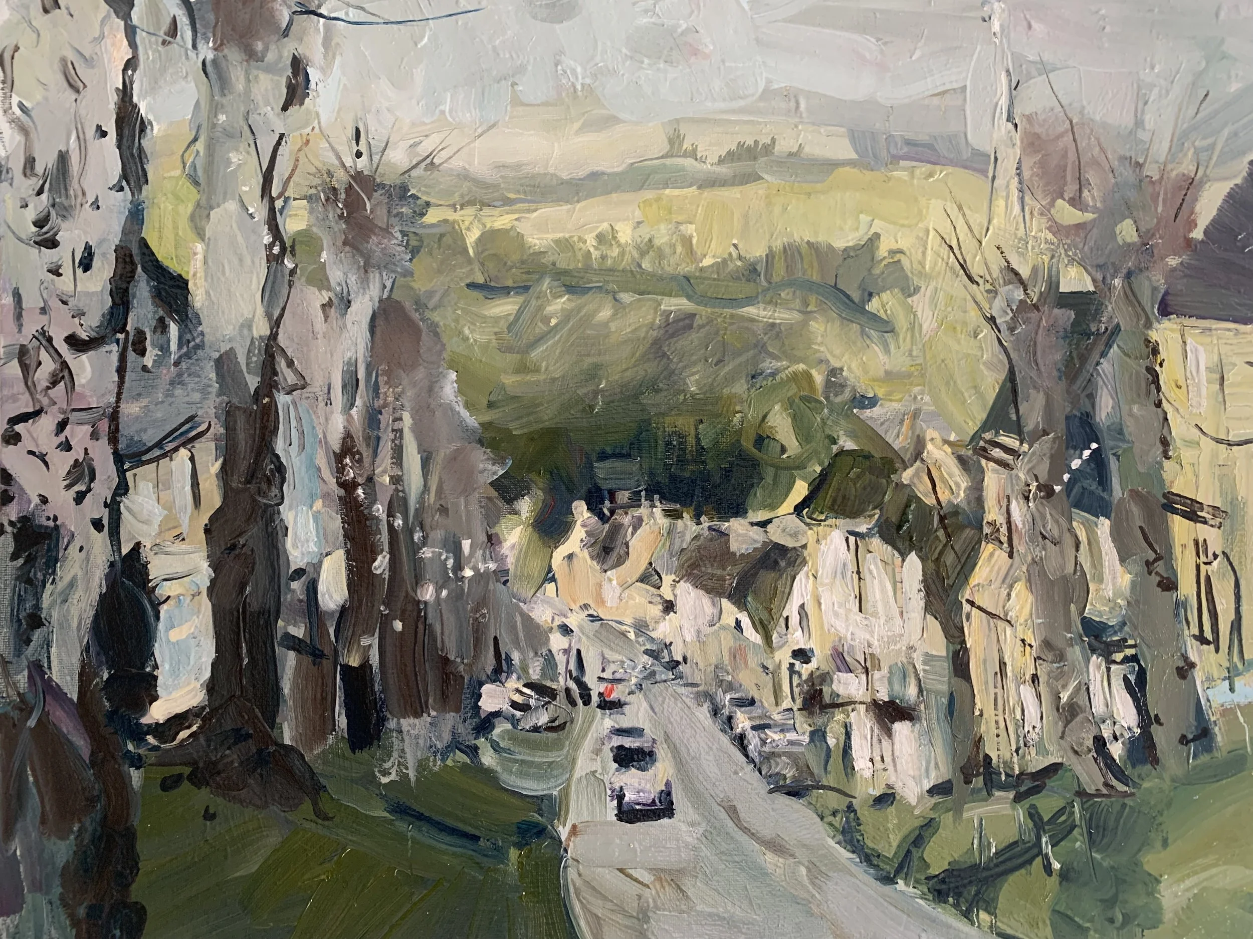 Down the Wintery Hill in Burford. .jpg