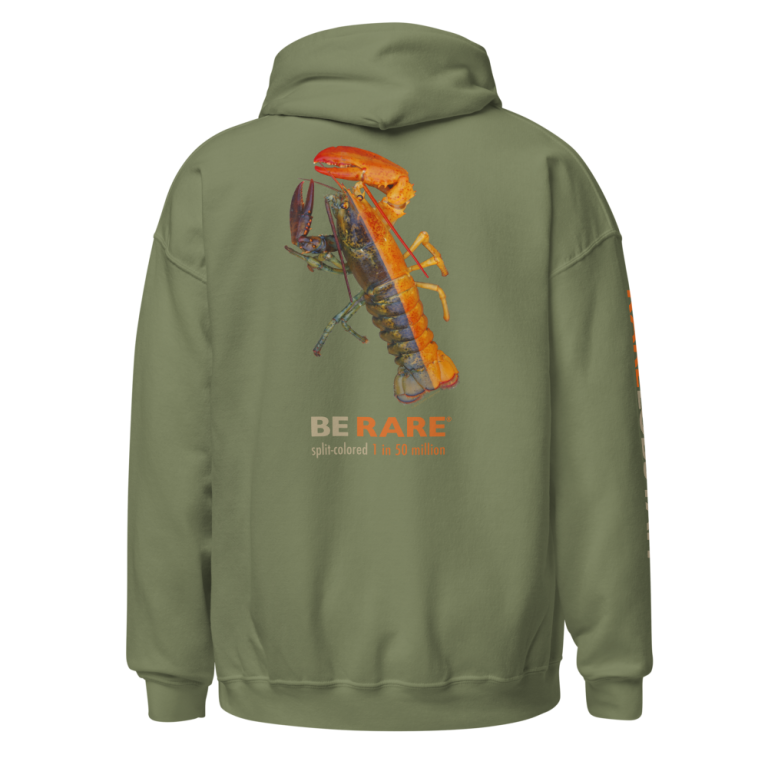 unisex-heavy-blend-hoodie-military-green-back-69126456b5bbe-768x768.png
