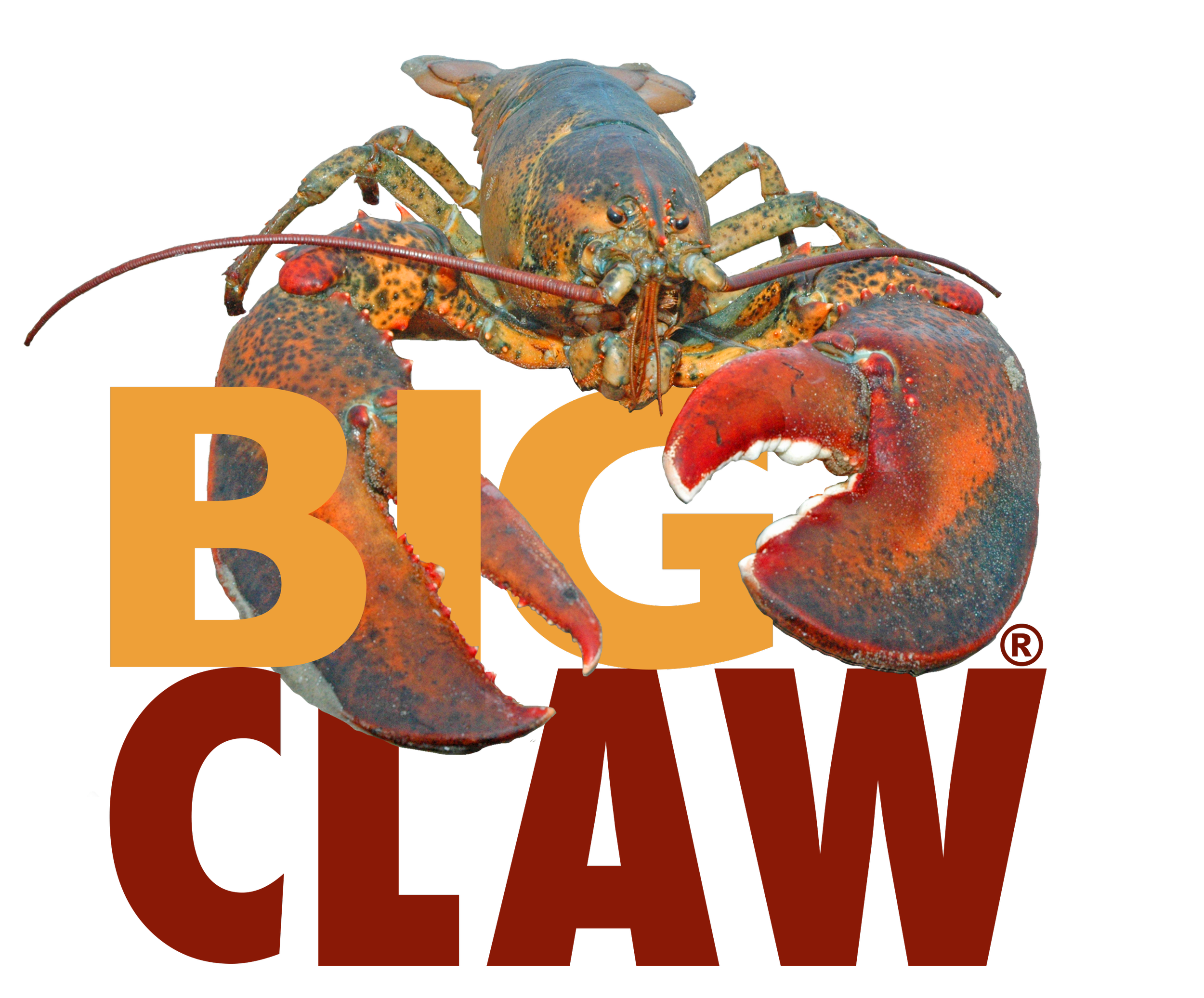 cropped-Big_Claw_Lobstah_logo_feb_2020-1.png