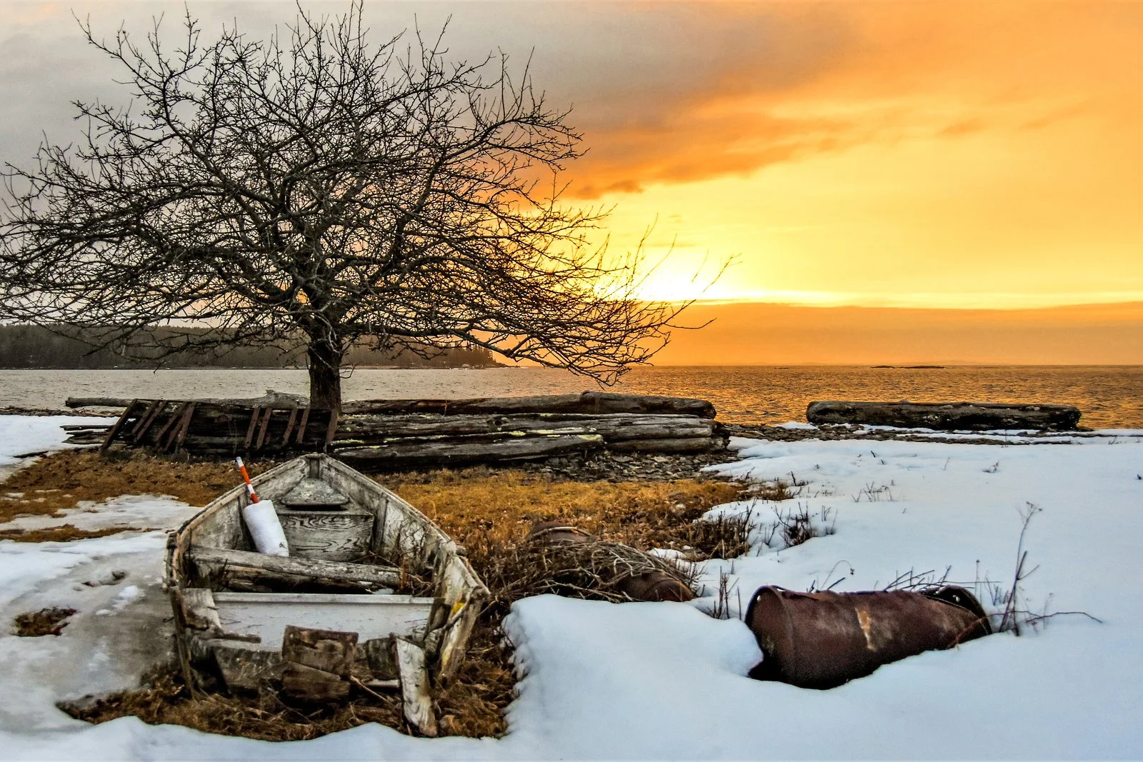 Linda Cunningham Photography