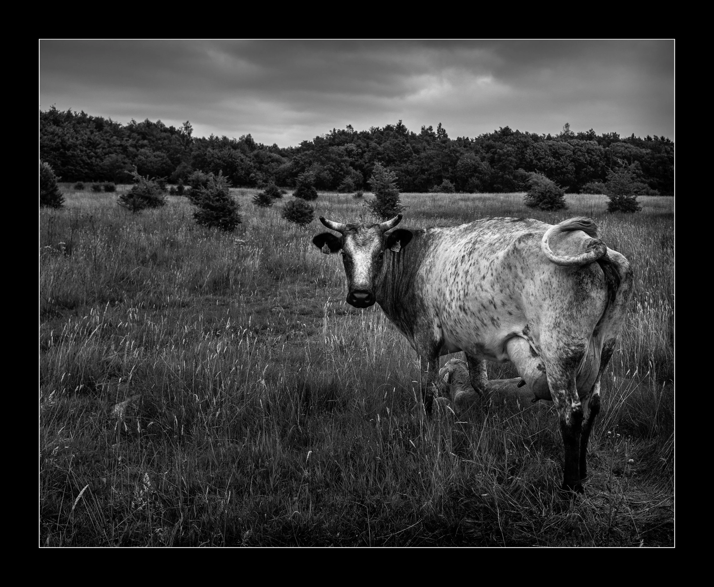 B_DSCF4380-77-Edit-Edit.jpg