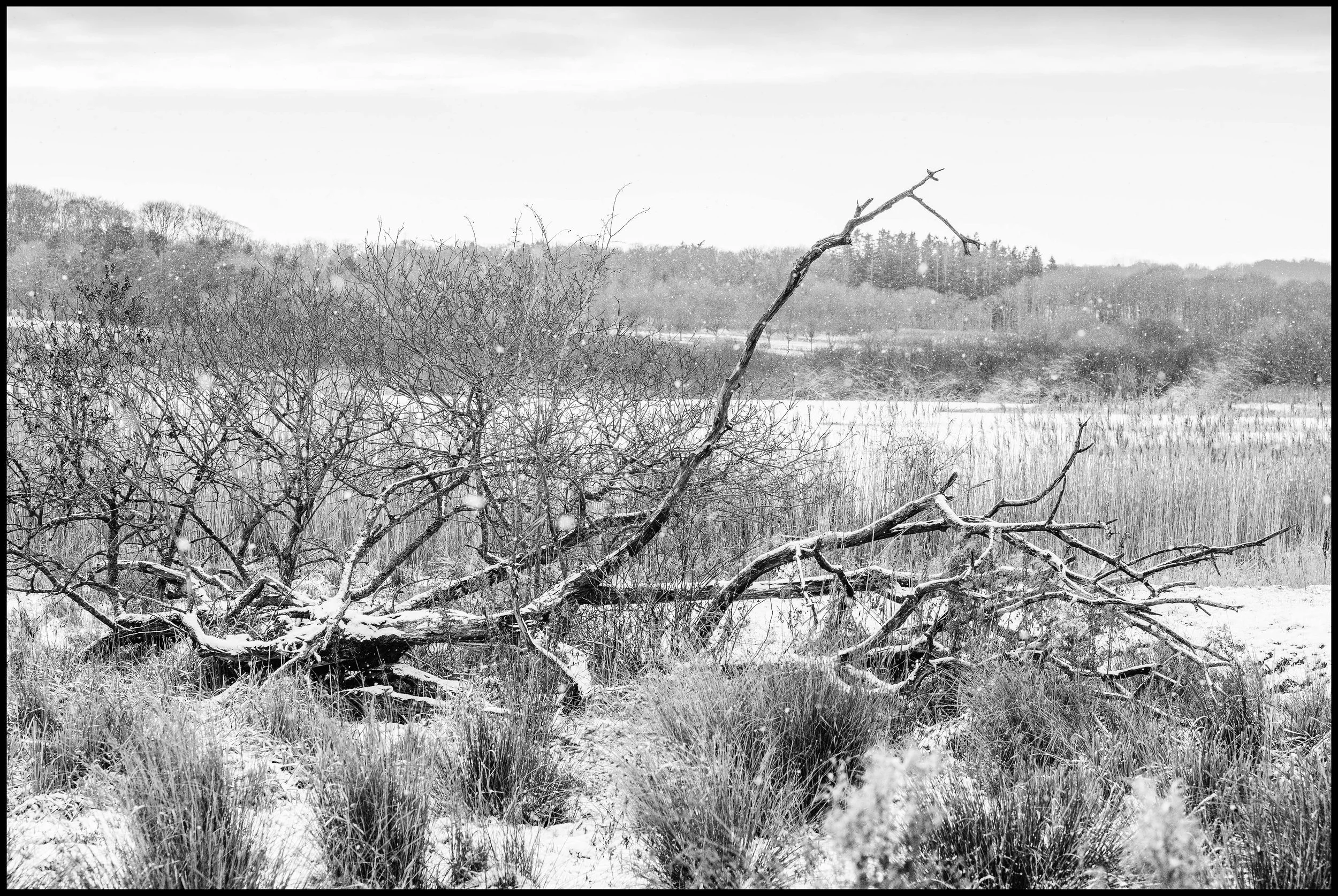 Vinter i Brabrand_DSCF1699-17-Edit-Edit kopier.jpg