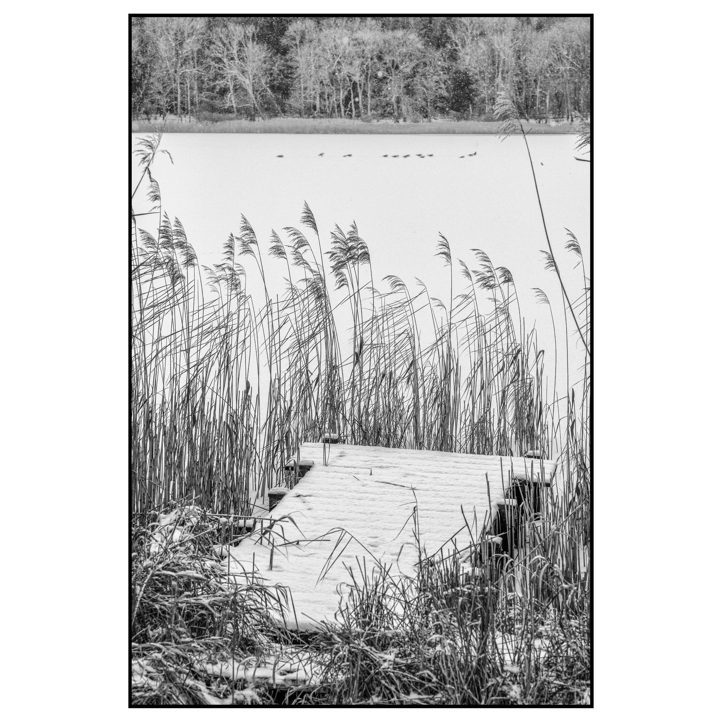 Jan_007_DSCF1702-20-Edit-Edit kopier.jpg