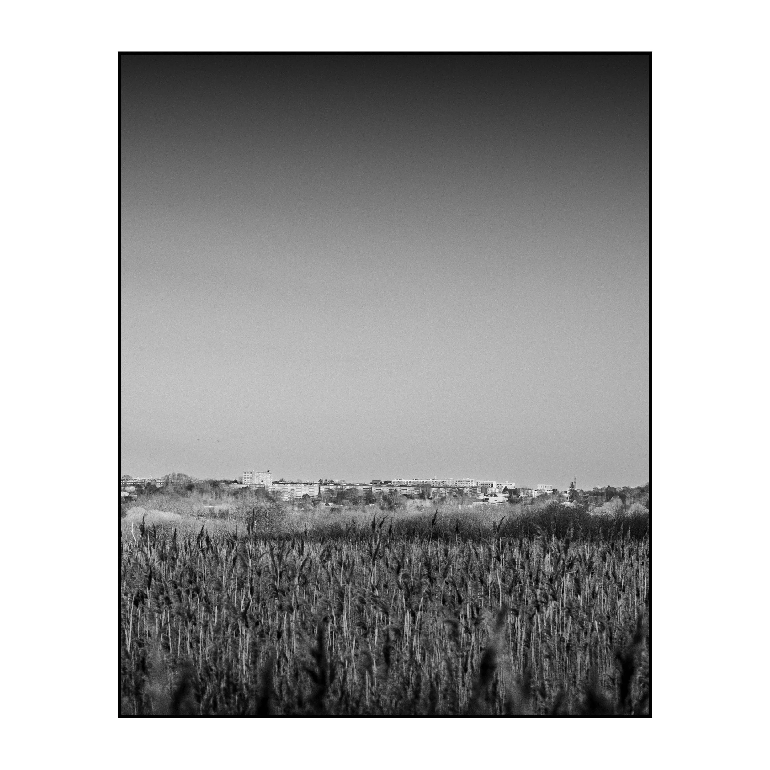 En vinterdag_DSCF1893-49-Edit kopier.jpg