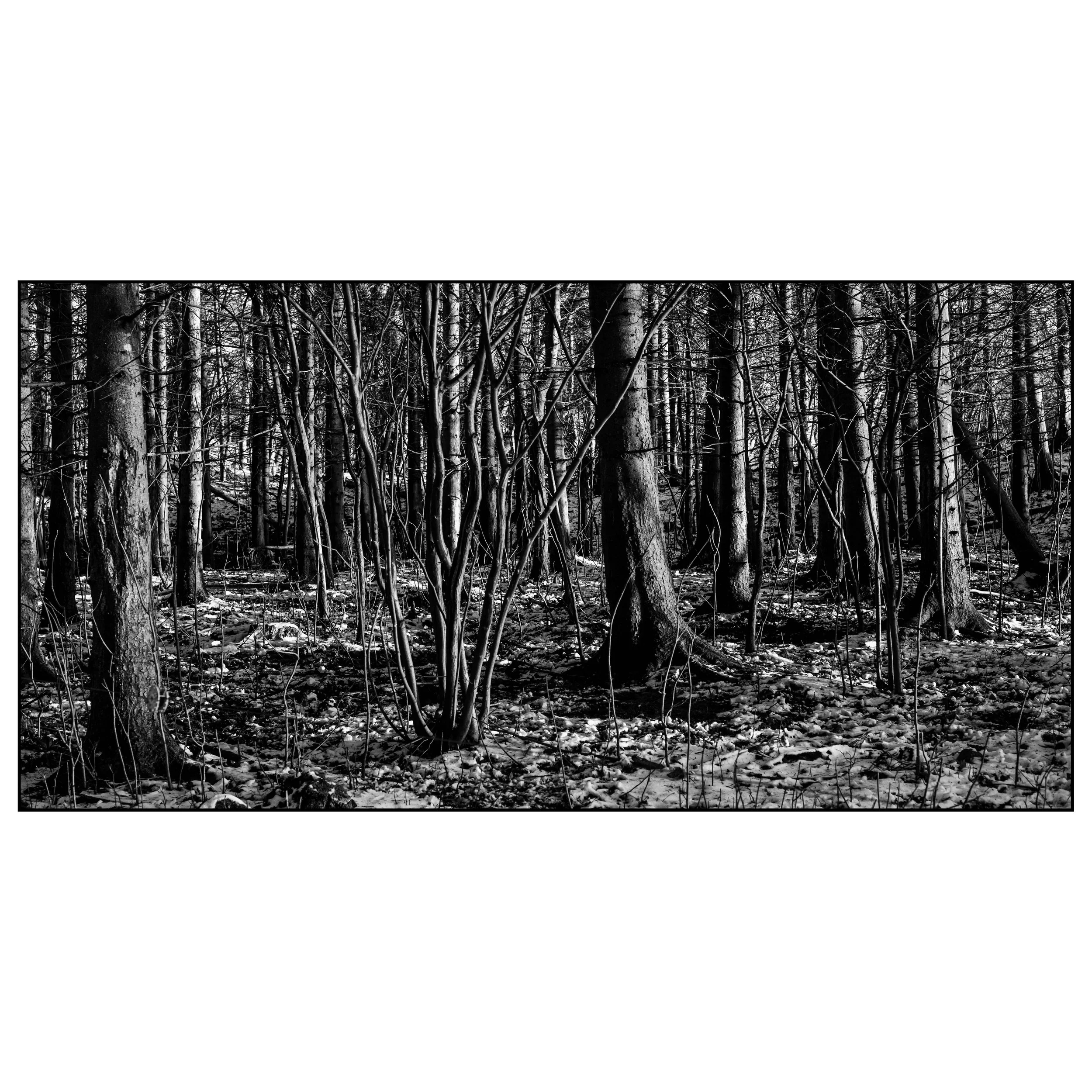 En vinterdag_DSCF1877-33-Edit-2 kopier.jpg