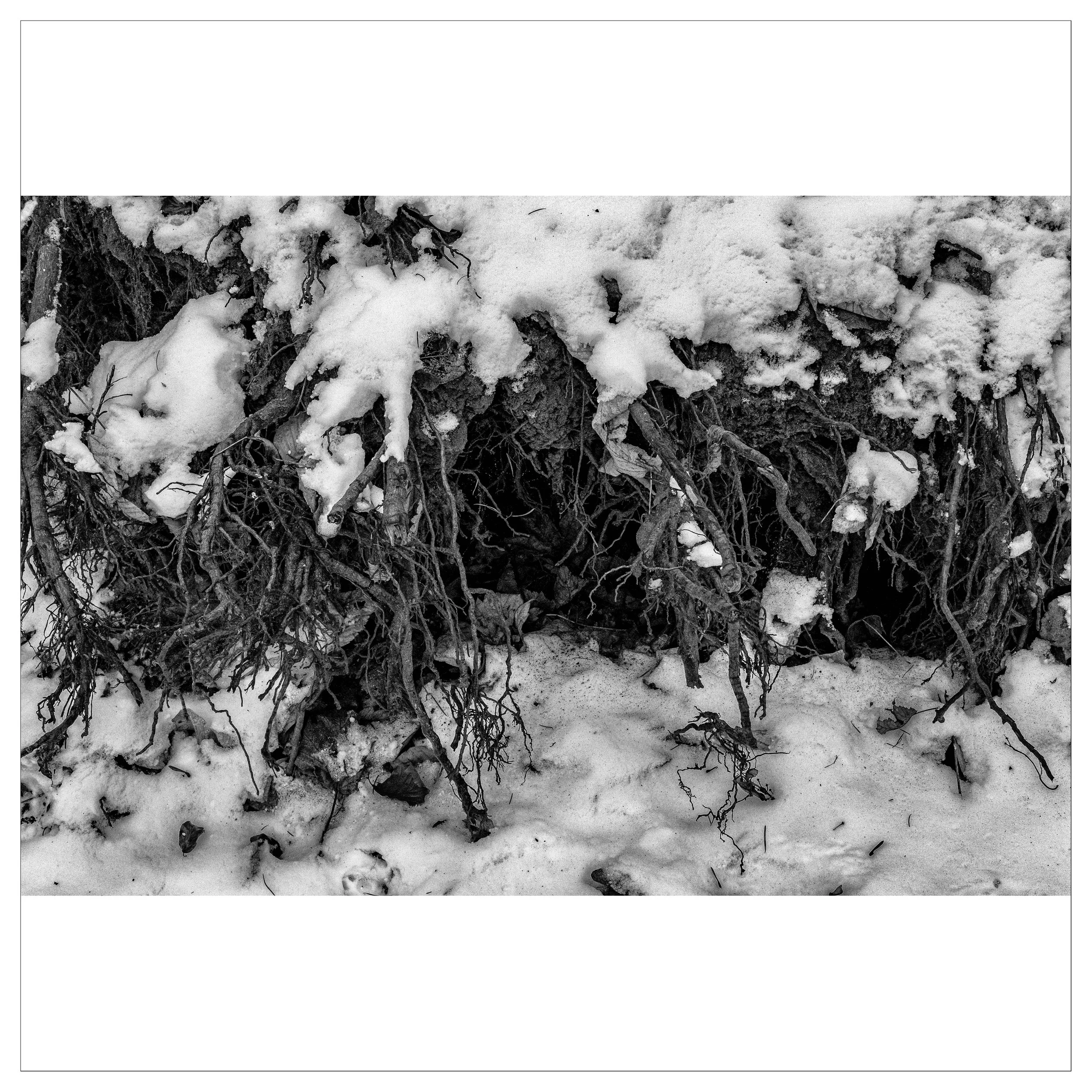 Vinter i Brabrand_DSCF1833-44-Edit-Edit kopier.jpg