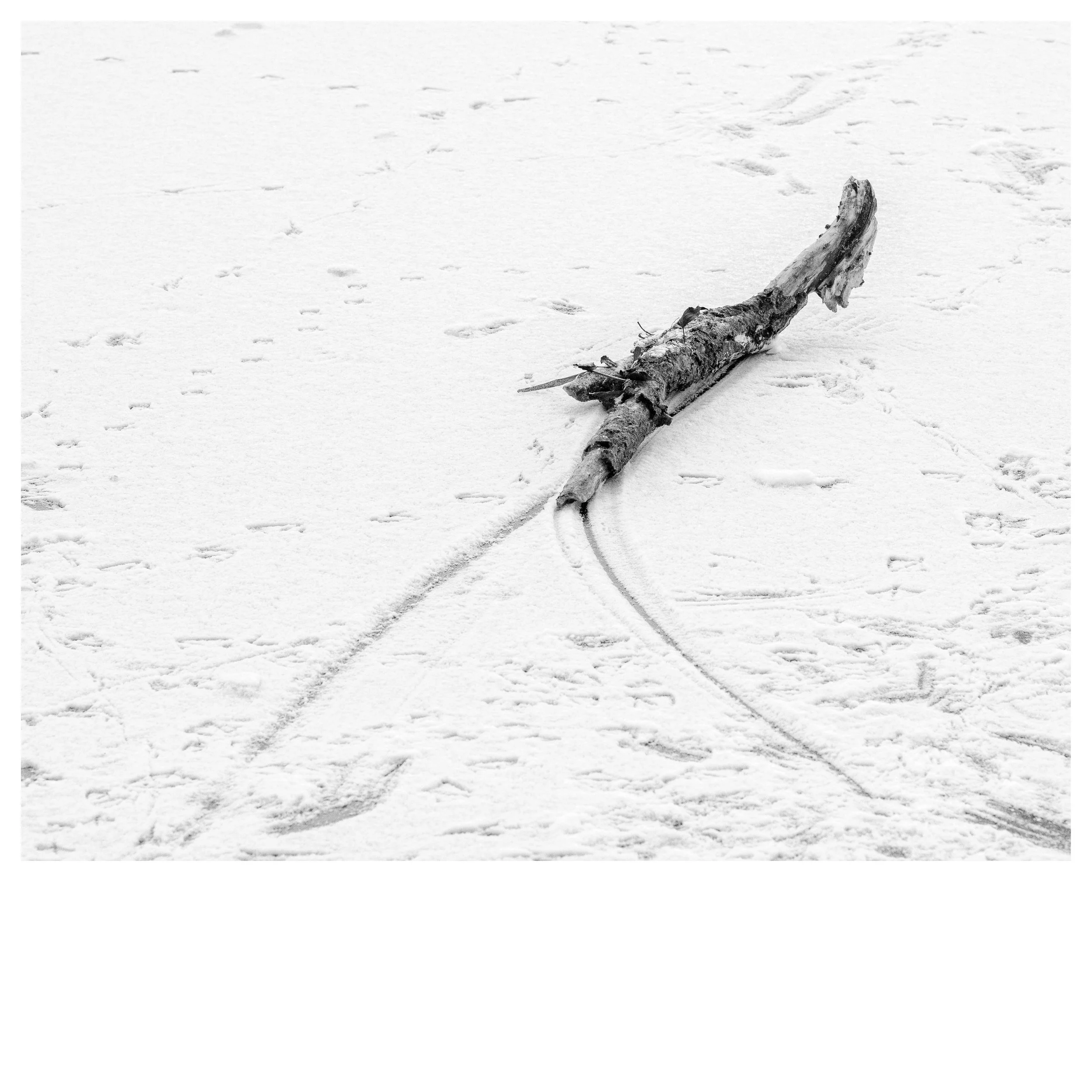 Vinter ved Brabrand sø_DSCF1733-51-Edit-Edit kopier.jpg